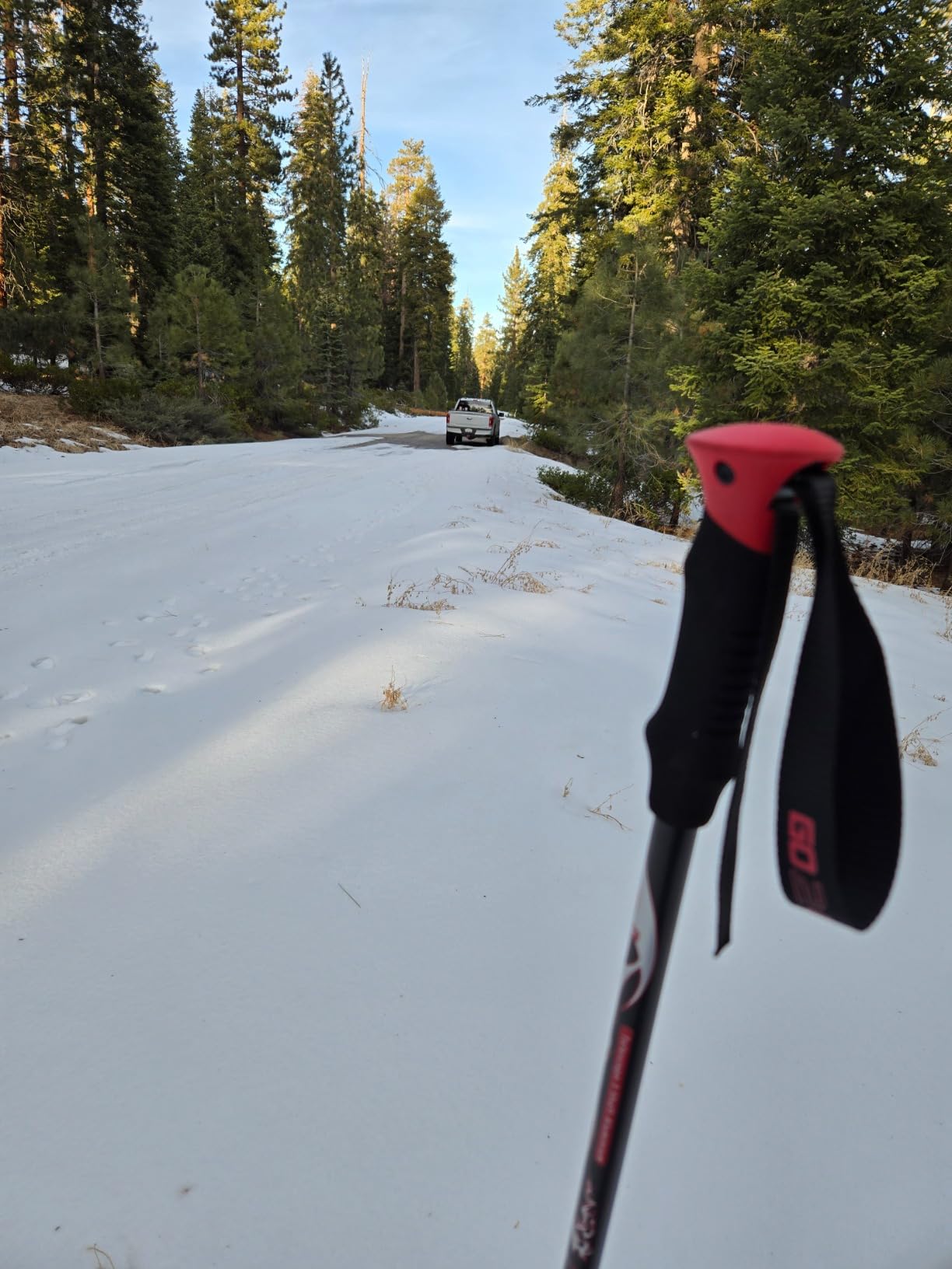 G2 21/25/30/36 Inches Light Weight Snowshoes with Trekking Poles, Tote Bag, Special EVA Padded Ratchet Binding, Heel Lift, Toe Box customer photo 1