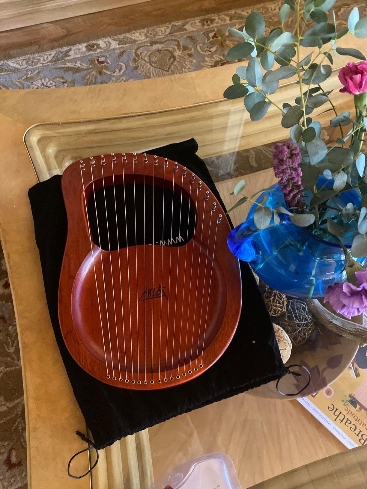 Harp, AKLOT 15 Strings Mahogany Harp 22 Inch Height for Adult Professional Beginner with Tuning Wrench, Black Gig Bag, Strap customer photo 1