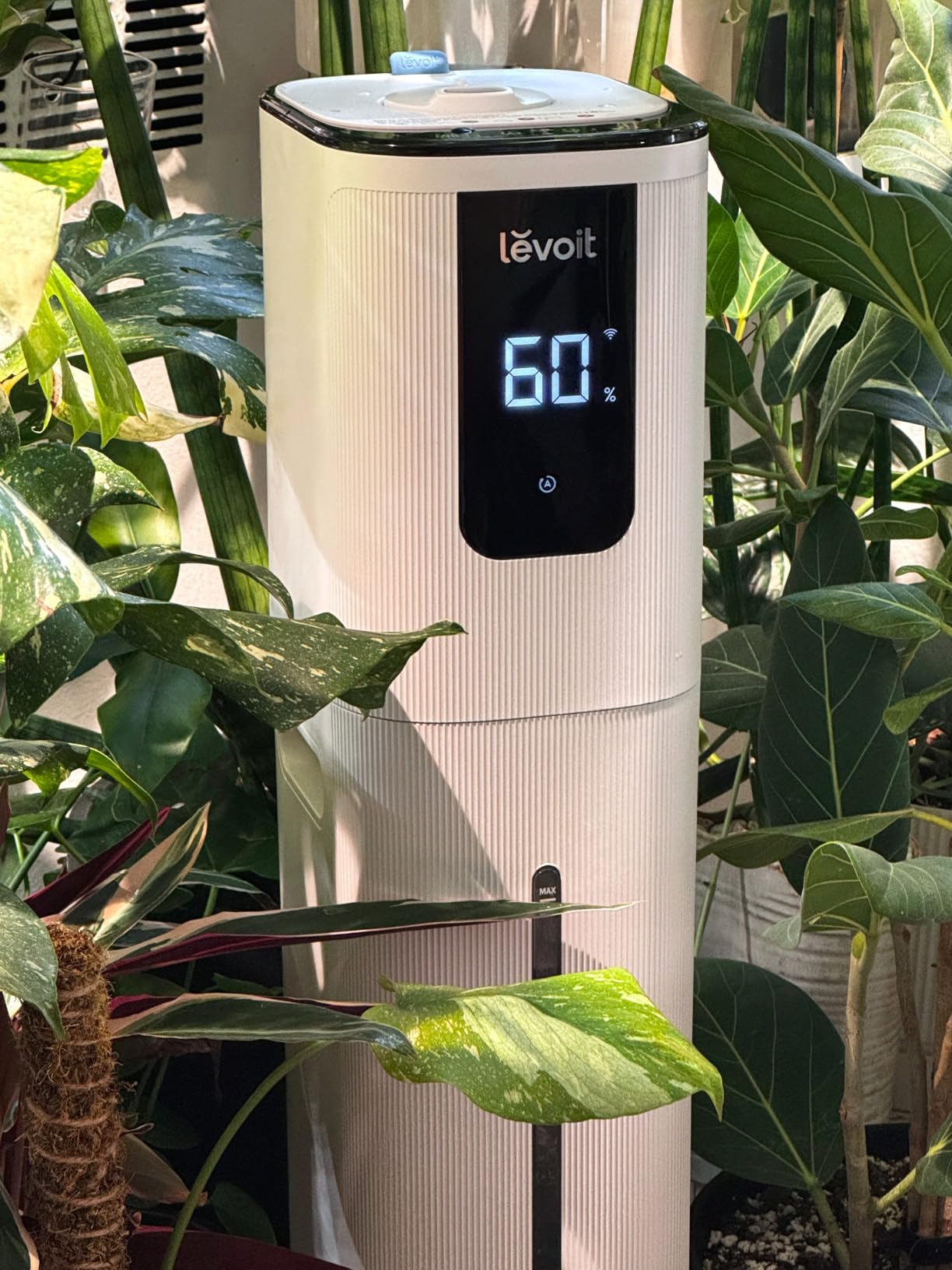LEVOIT LV600S Smart Warm and Cool Mist Humidifiers for Home Bedroom Large Room, (6L) 753ft² Coverage customer photo 1