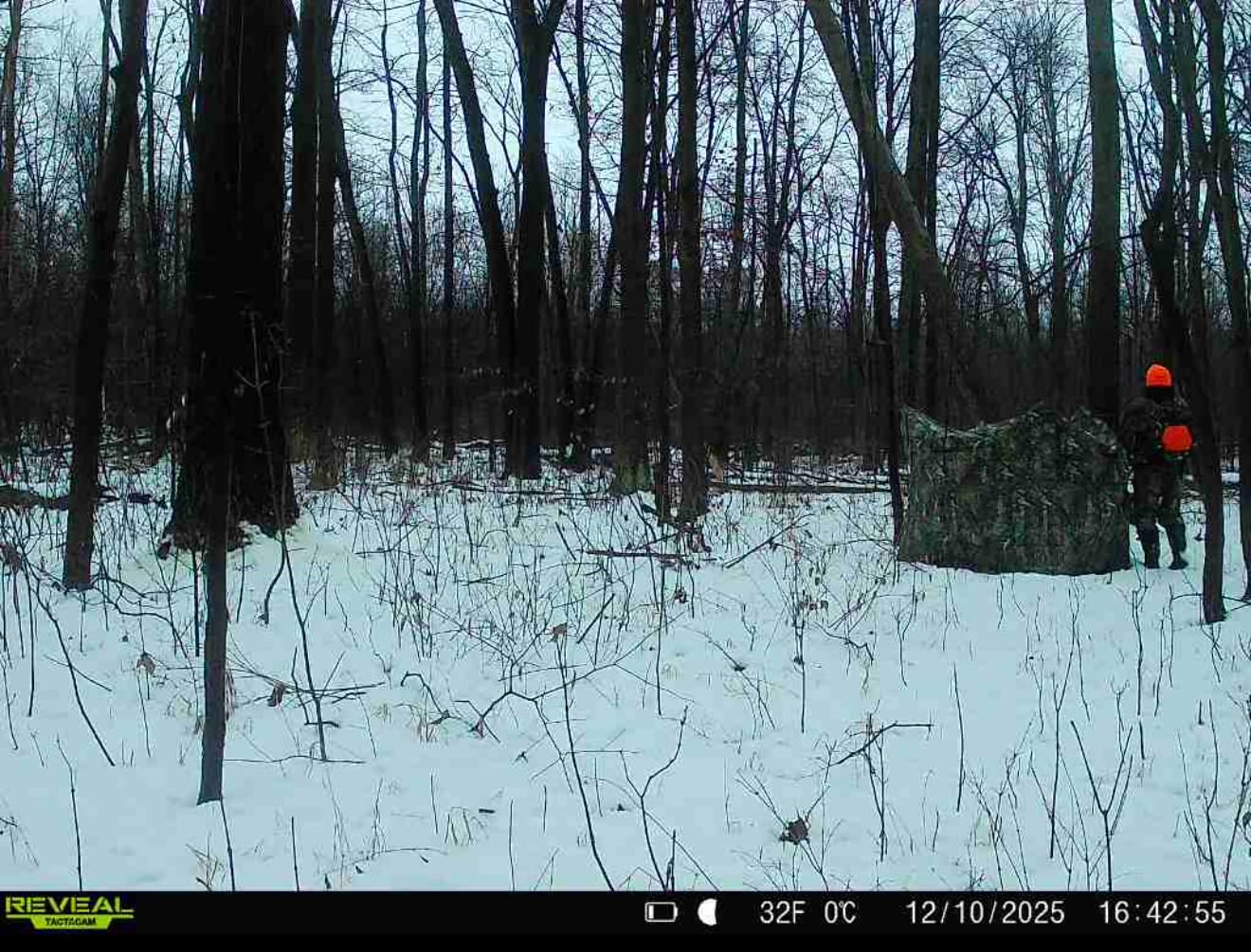 TIDEWE Hunting Blind for Deer, 270° See Through Ground Blind | Pop Up Design, Camo Hunting Tent, Silent Sliding Windows, Brush Loops, Metal Hub, Carry Bag Included customer photo 1