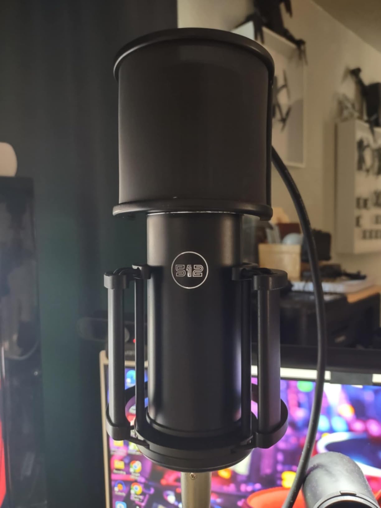 512 Audio by Warm Audio Skylight Large Diaphragm Studio Condenser XLR Microphone + Shock Mount + Bag for Recording and Podcasting customer photo 2