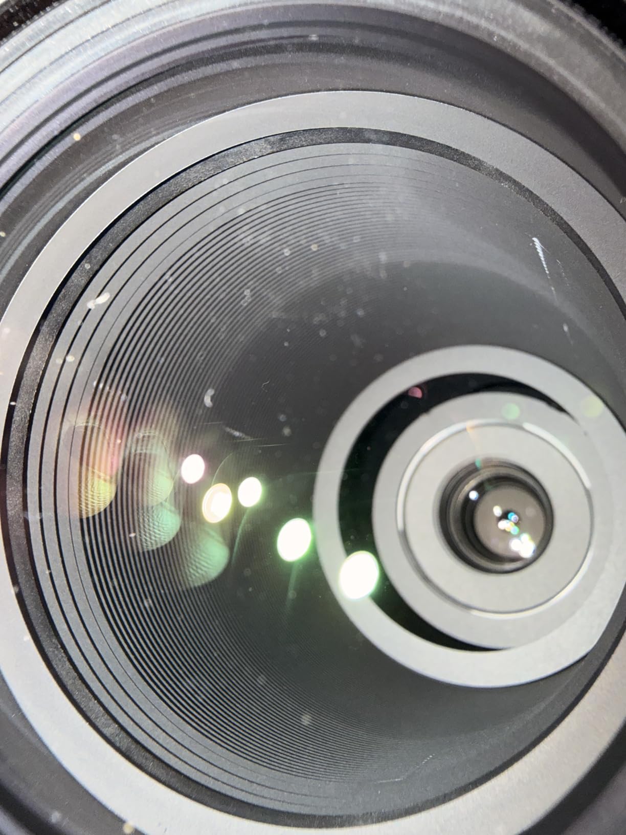 Sigma 150-600mm F5/-6.3 DG DN for Sony E | Lens displays beautiful bokeh throughout its zoom range customer photo 1