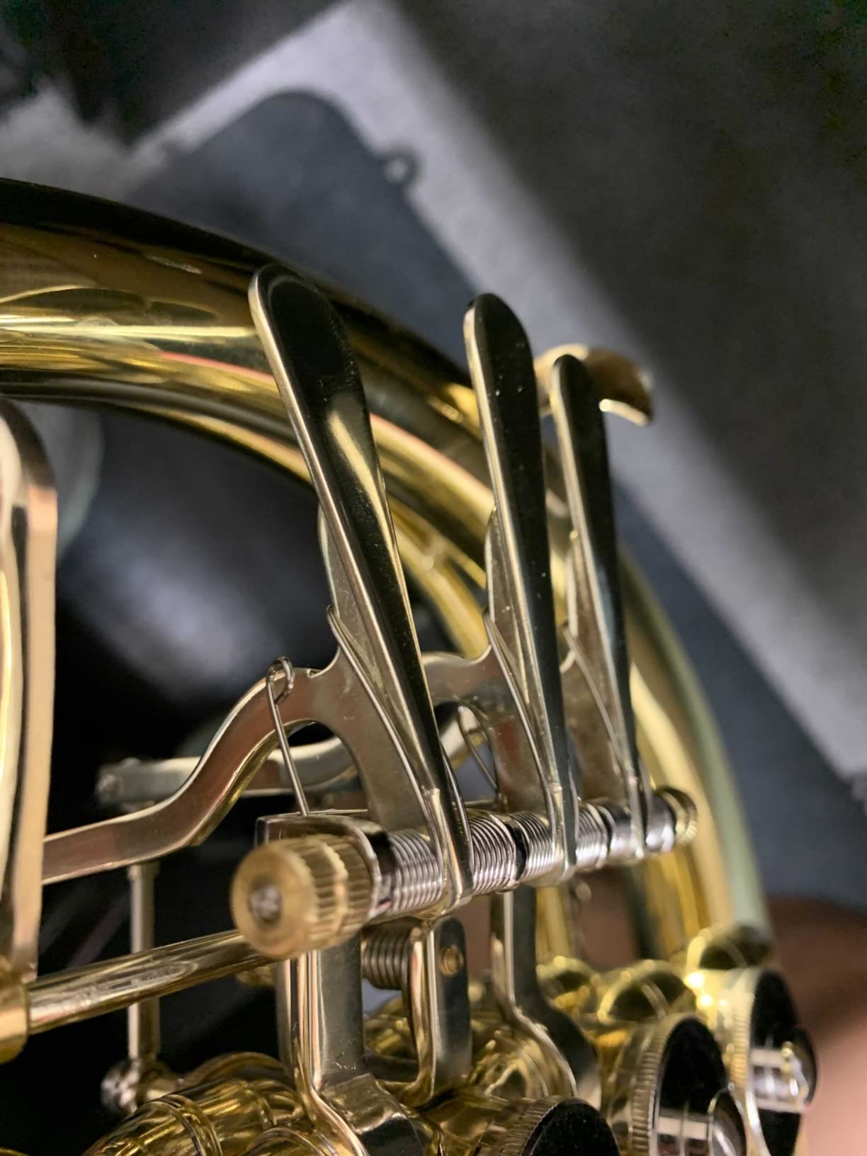 ROWELL Double French Horn F/Bb 4 Keys Gold Lacquer F French Horn Intermediate with Case, Mouthpiece Gloves and Polishing Cloth customer photo 1