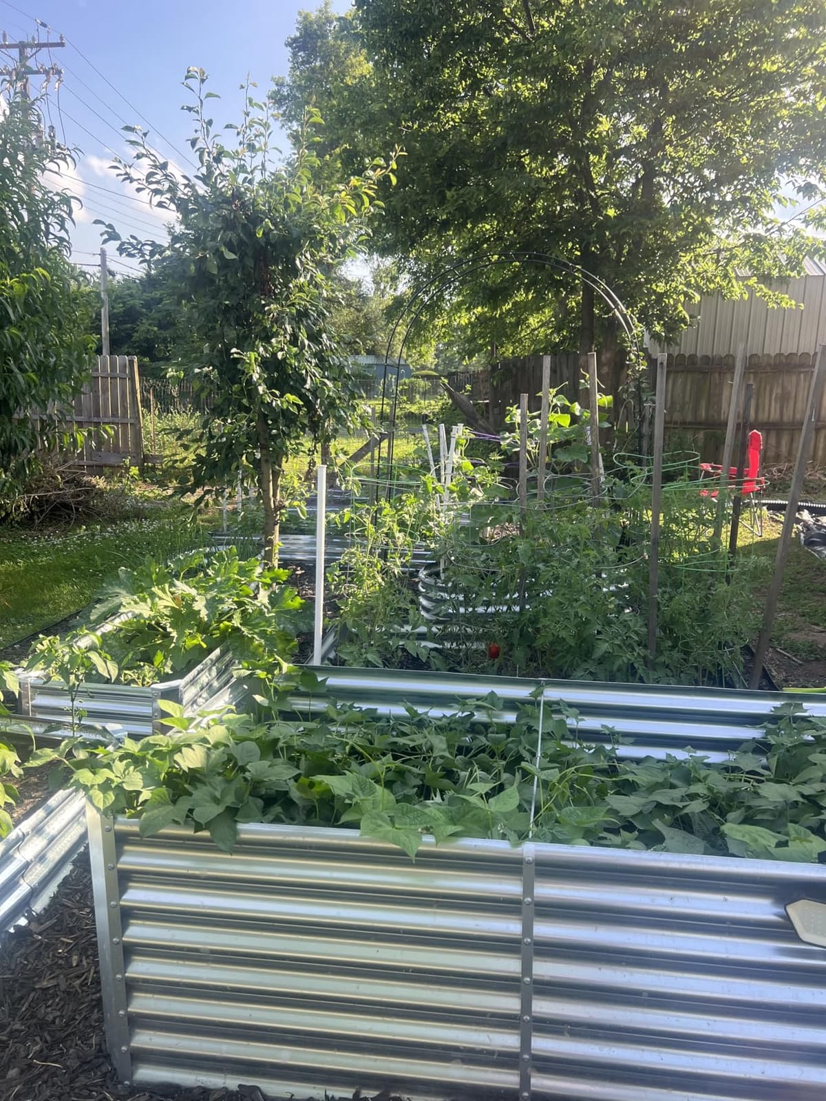 Land Guard 8x4x2 ft Galvanized Raised Garden Bed Kit, Galvanized Planter Raised Garden Boxes Outdoor, Large Metal Raised Garden Beds for Vegetables customer photo 1
