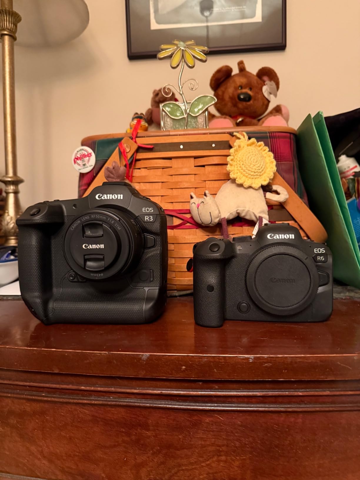 Canon EOS R3 Mirrorless Camera (Body Only), Full-Frame Camera customer photo 1