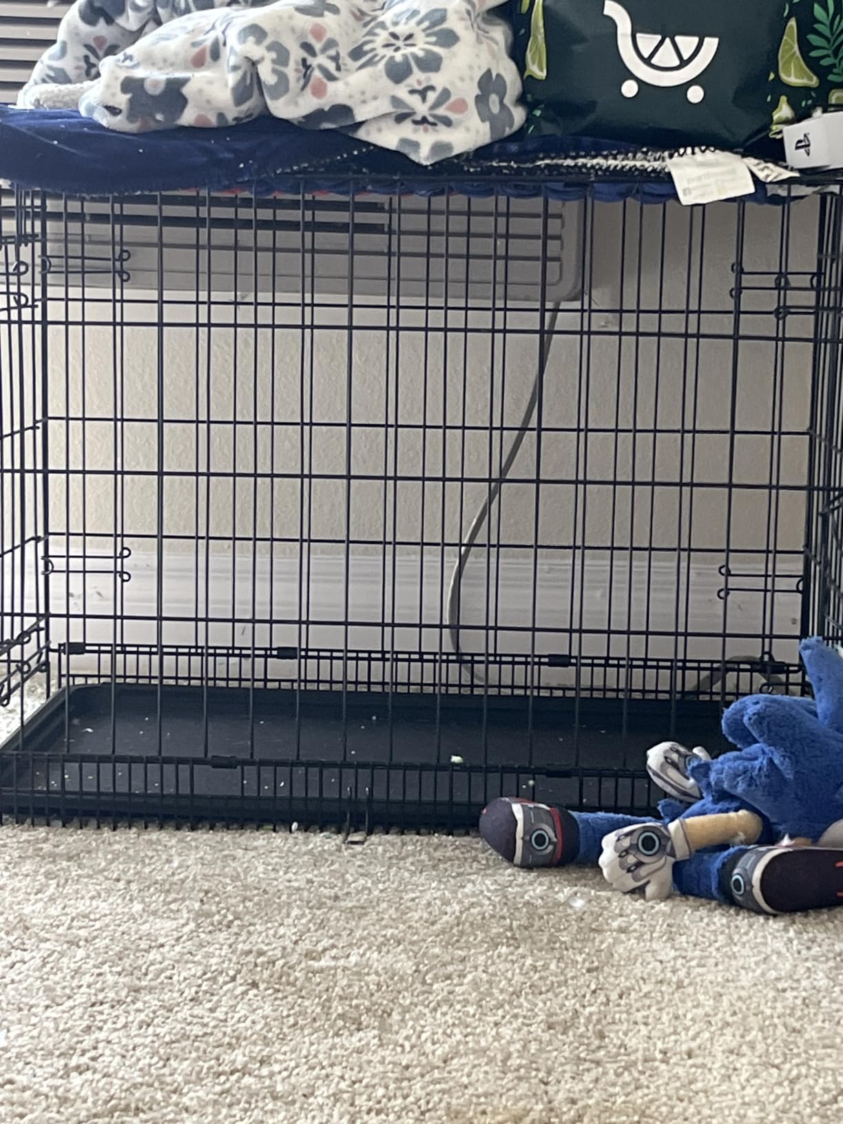Amazon Basics Portable, Foldable Metal Wire Dog Crate with Removable Tray, Divider Panel, Easy to Assemble, for Large Dogs, 48 x 30 x 32.5 in, Black customer photo 1