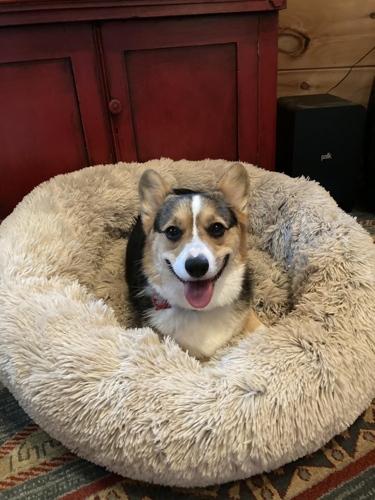 Best Friends by Sheri Original Calming Donut Dog Bed, Gray, Medium, 30