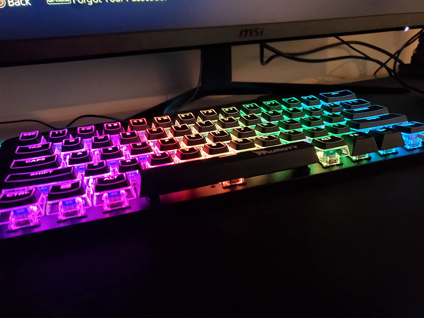 Pauroty 60% Wireless Mechanical Gaming Keyboard, Clicky Blue Switch RGB Backlit, Triple Mode 2.4G/USB-C/Bluetooth, 61 Keys Rechargeable Mini Keyboard customer photo 1