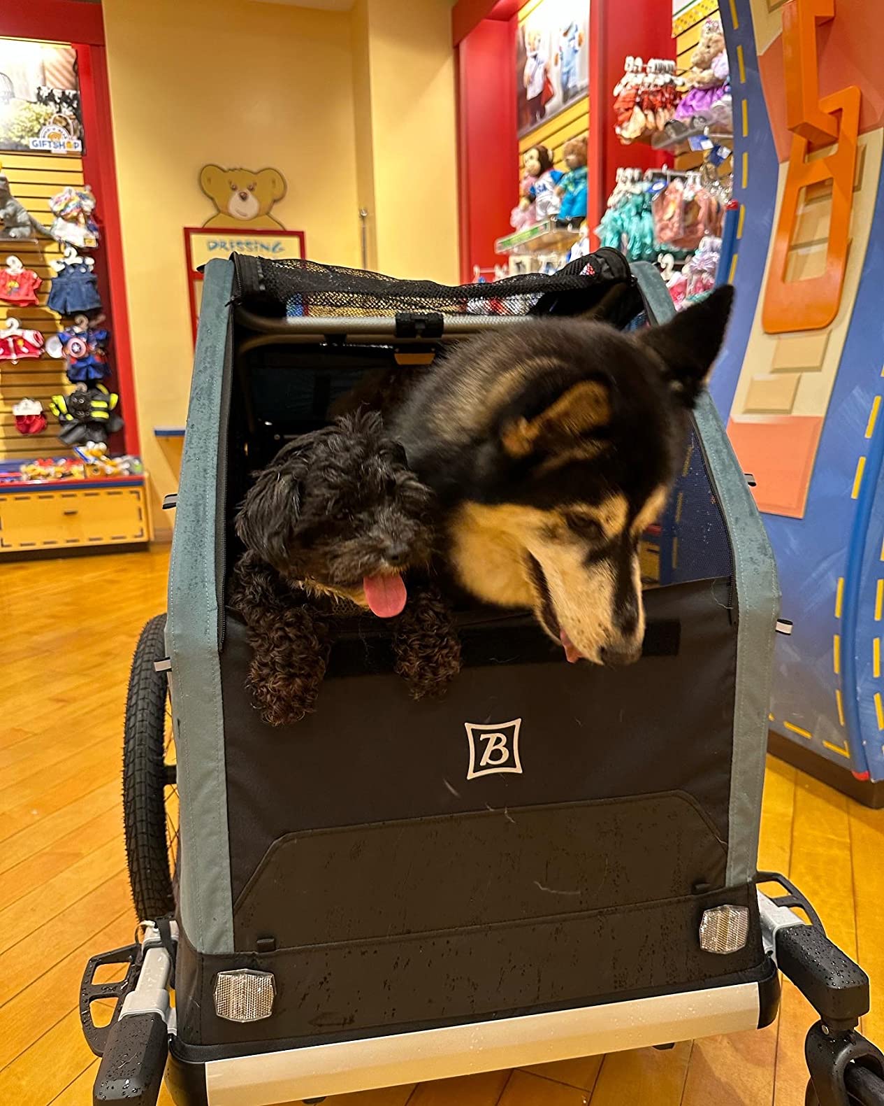 Burley Bark Ranger Pet Bike Trailer customer photo 2