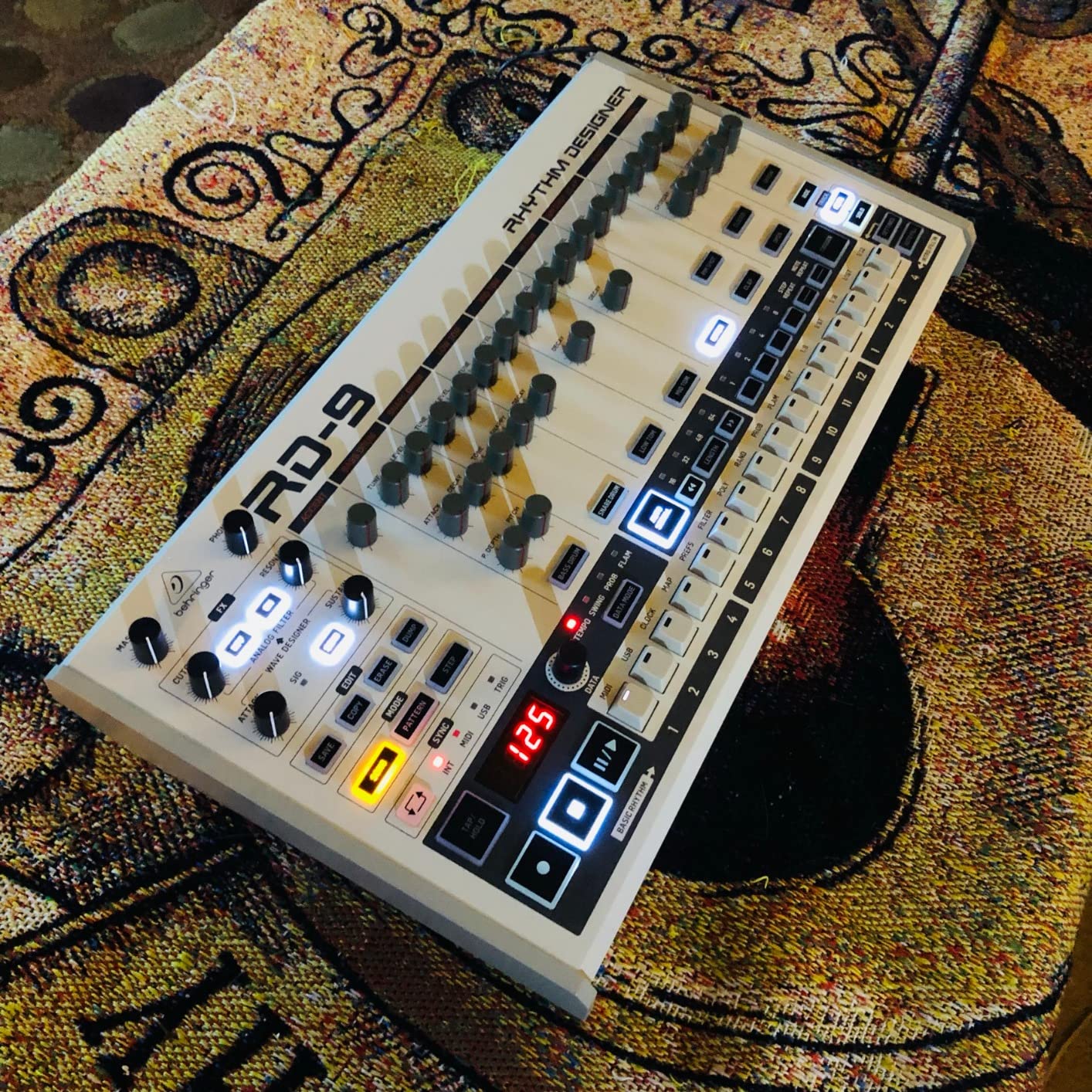 RD-9 Analog Drum Machine customer photo 1
