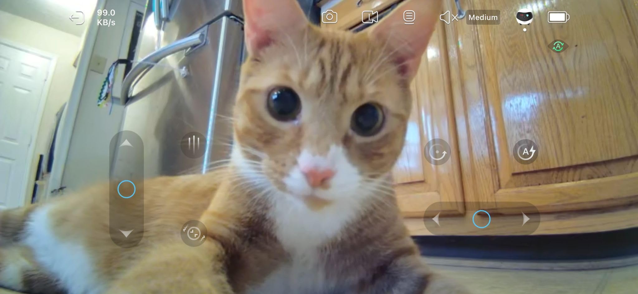 Enabot EBO SE Home Robot Camera: 1080P Mobile FamilyBot Pet Companion | Whole-Home Mobility, Two-Way Talk, Night Vision, Local Storage, Auto-Recharge, Long Distance Gift for Family/Pet customer photo 1