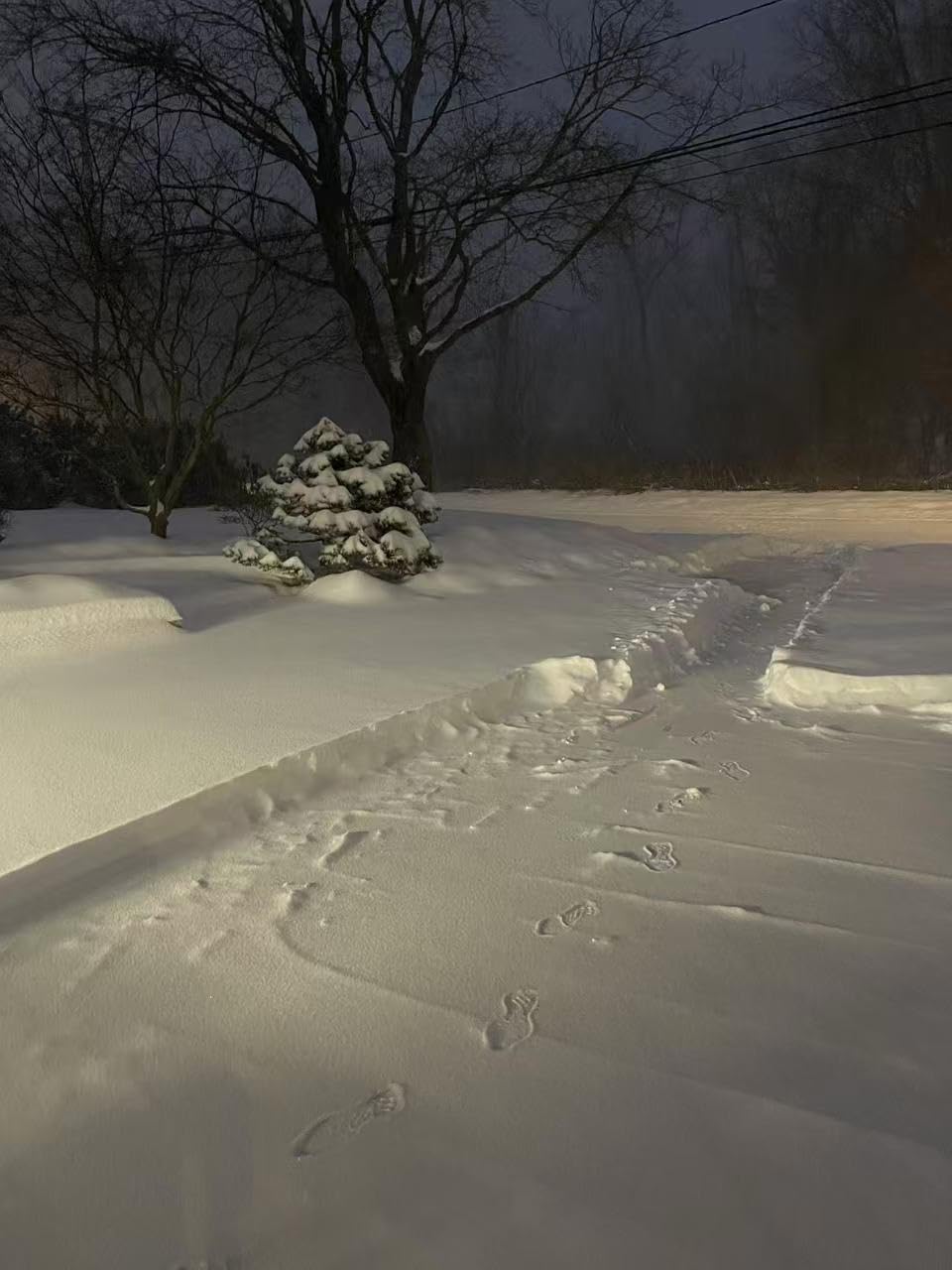 Snow Joe 24V Cordless Snow Shovel Kit with Cover and Scraper, 24V-SS13-TV1 | 13 Clearing Path, 400W Motor, Heavy-Duty Snow & Ice Removal for Driveway & Walkway customer photo 2