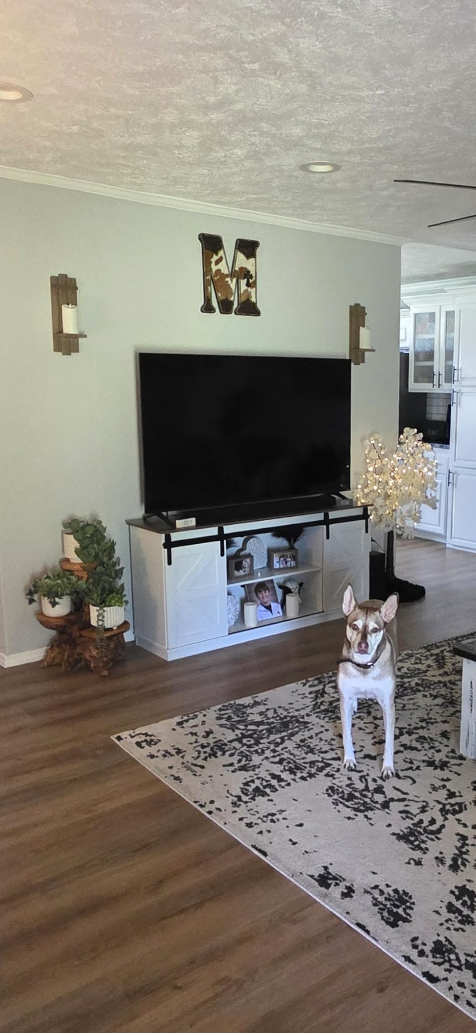 JUMMICO TV Stand for 65 Inch TV, Sliding Barn Doors, Bright White | Farmhouse Entertainment Center, Storage Cabinets, Adjustable Shelves, Media Console for Living Room, Bedroom customer photo 1