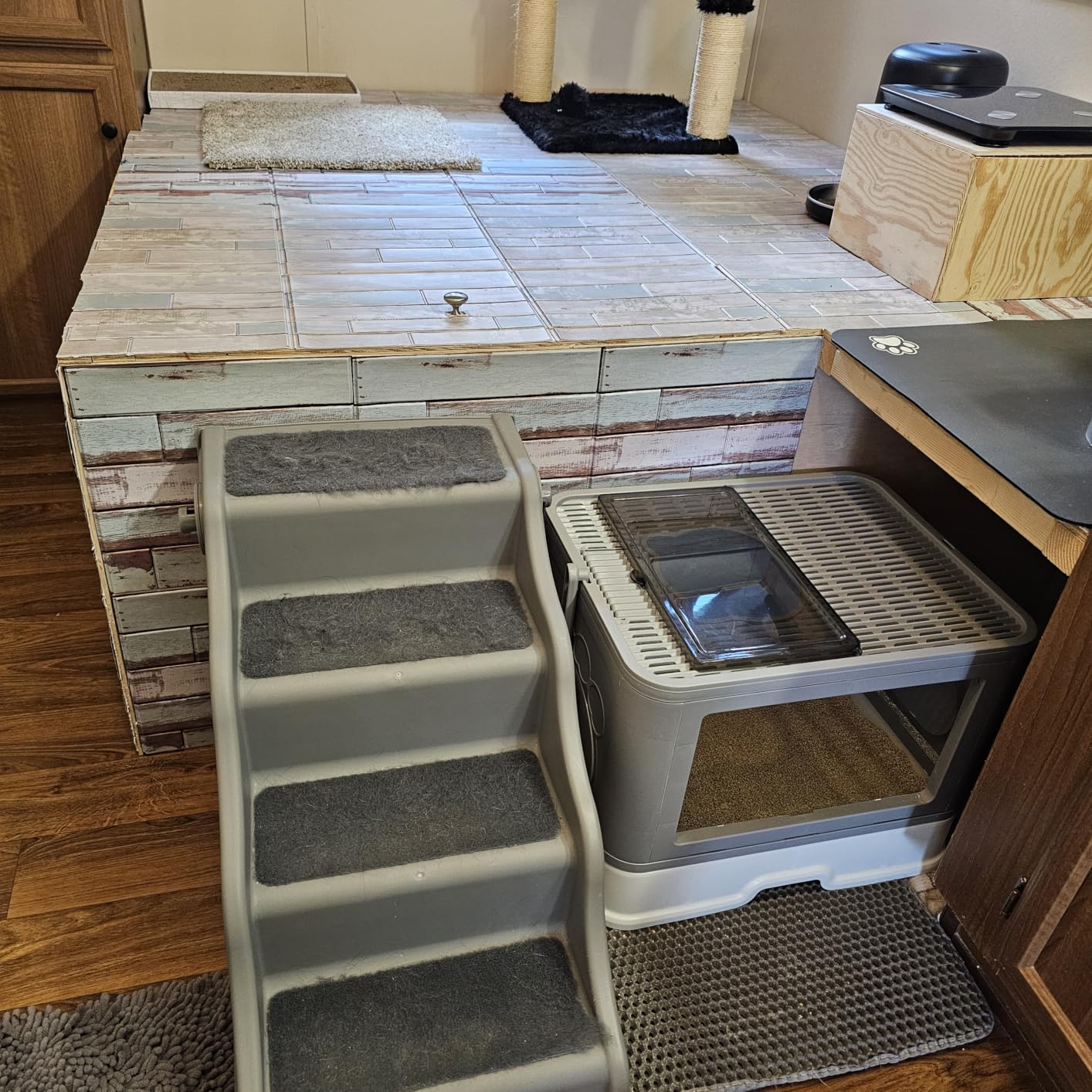 Amazon Basics Foldable Non-Slip Pet Stairs for Small Dogs and Cats, Senior Pets, Easy to Climb, 14.6