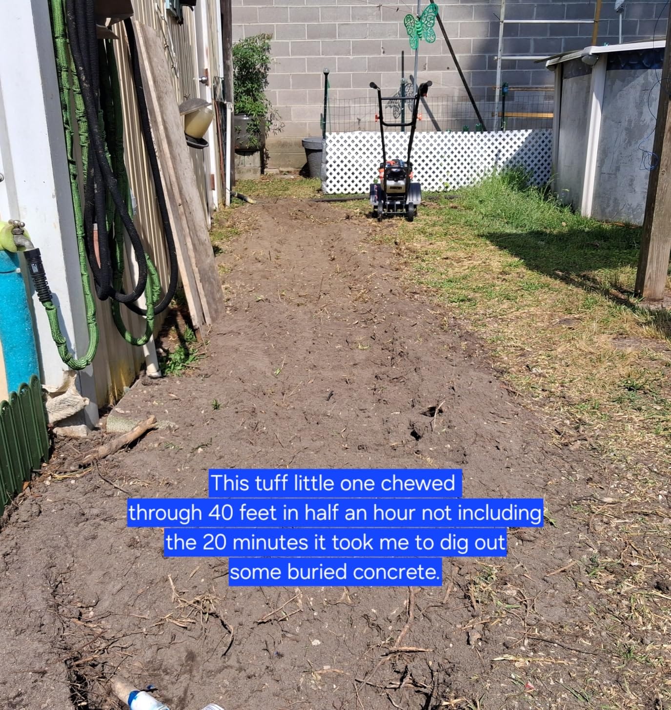 SENIX 4QL 4-Cycle Gas Powered Tiller Cultivator, 46cc Full Crank Engine, 15-Inch Tilling Width, 8-Inch Tilling Depth, Easy Start, Foldable Handles (TL4QL-L1) customer photo 1