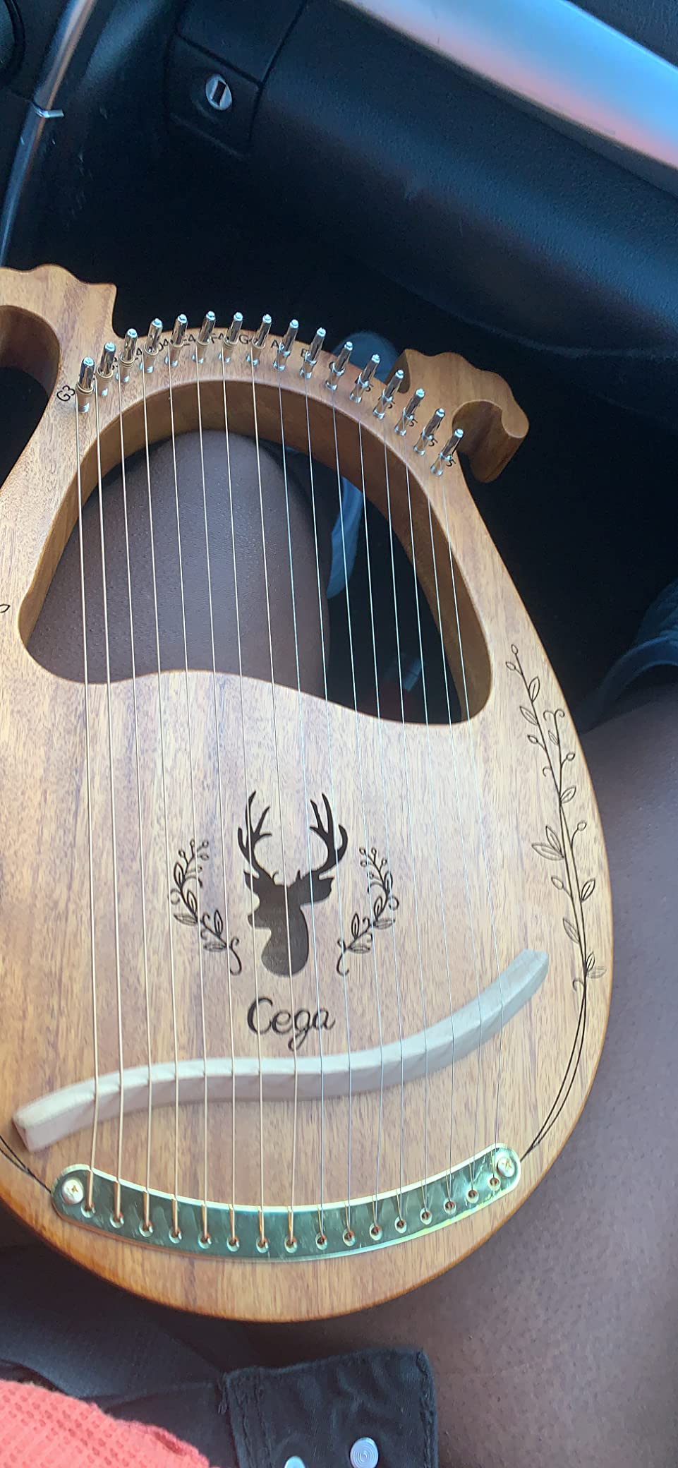 Lyre Harp, 16 Strings Mahogany Acoustic Lap Harp for Beginners | Extra Strings, Picks, Tuning Lever, Black Gig Bag, Beginner's Manual customer photo 2