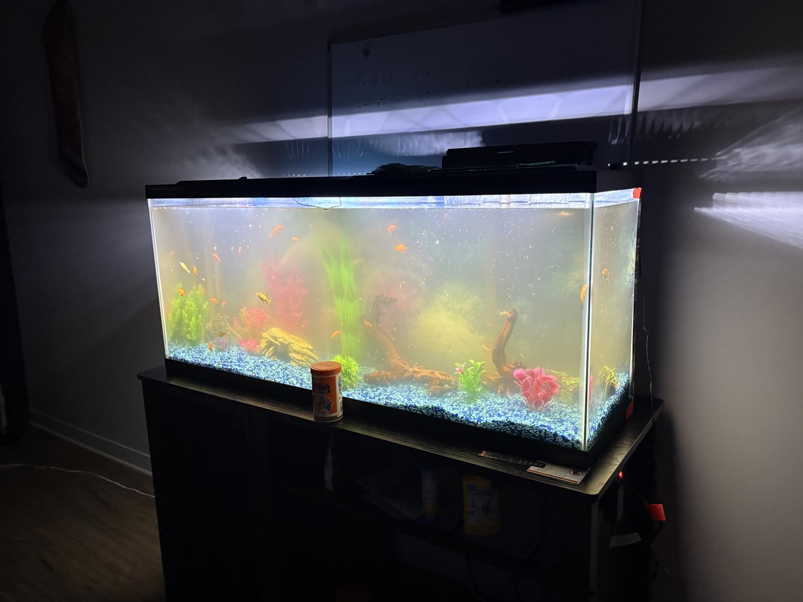Tetra LED 55 Gallon Complete Fish Tank Kit for Freshwater Fish customer photo 1