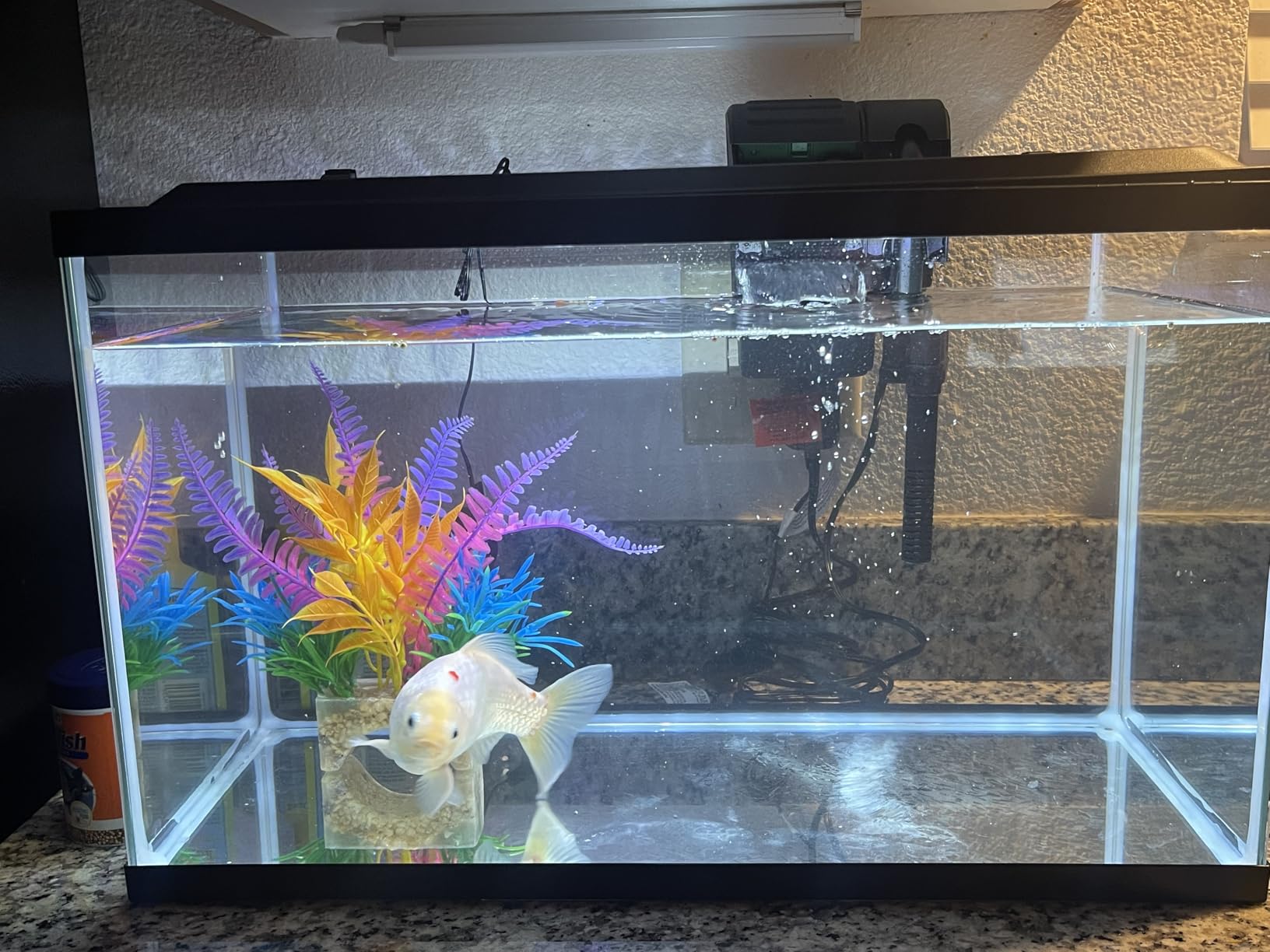 Tetra LED 55 Gallon Complete Fish Tank Kit for Freshwater Fish customer photo 2