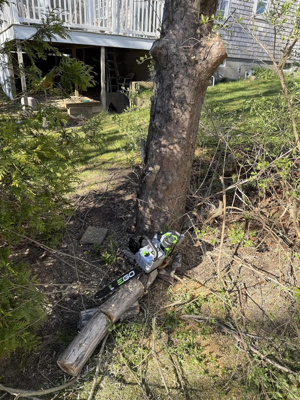 EGO POWER+ Chain Saw, 16