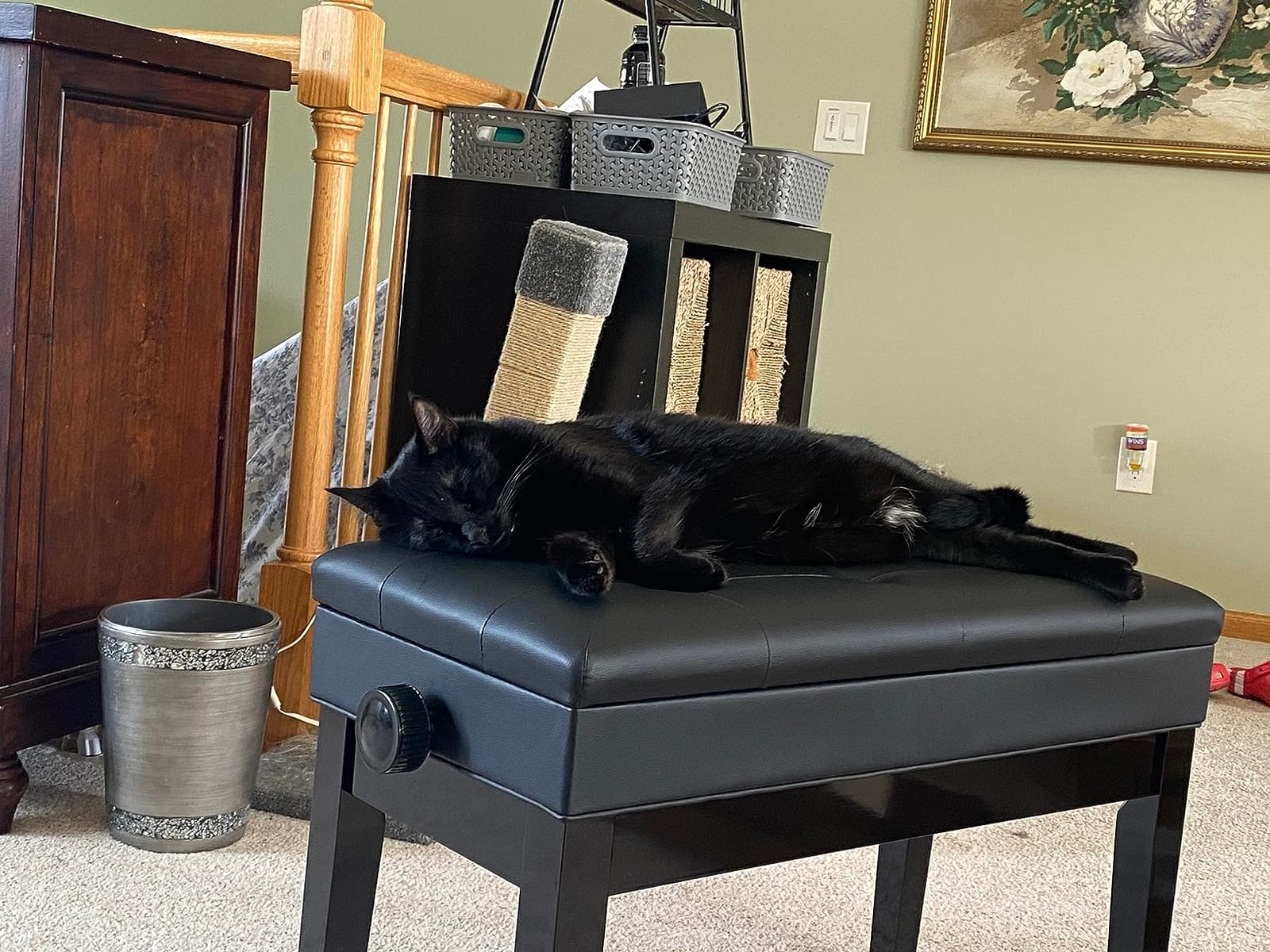 HOOBRO Adjustable Piano Bench with Storage Compartment for Music Sheet and Padded Cushion, Holds up to 300 lb, Music Bench, Piano Stool, Vanity Chair, Black BB31QD01 customer photo 1