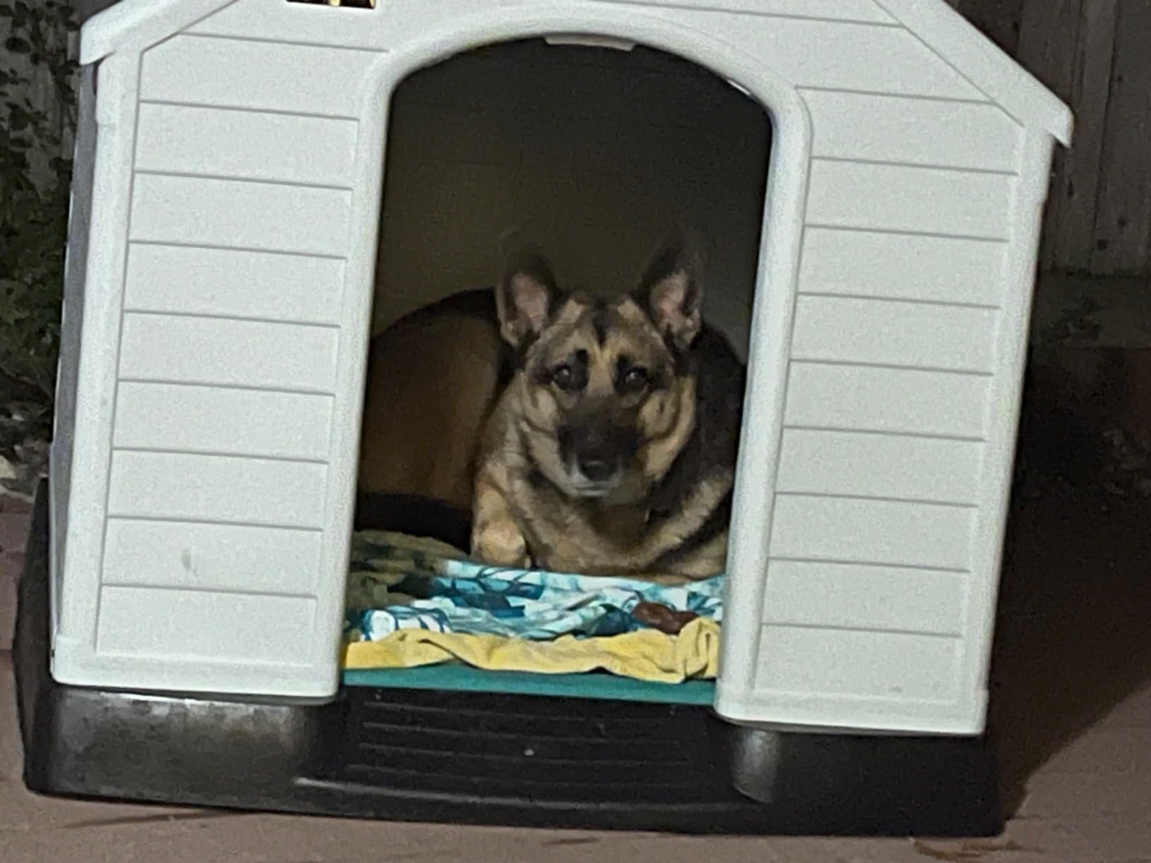 LEMBERI Large Dog House, Indoor/Outdoor, Gray 38.8