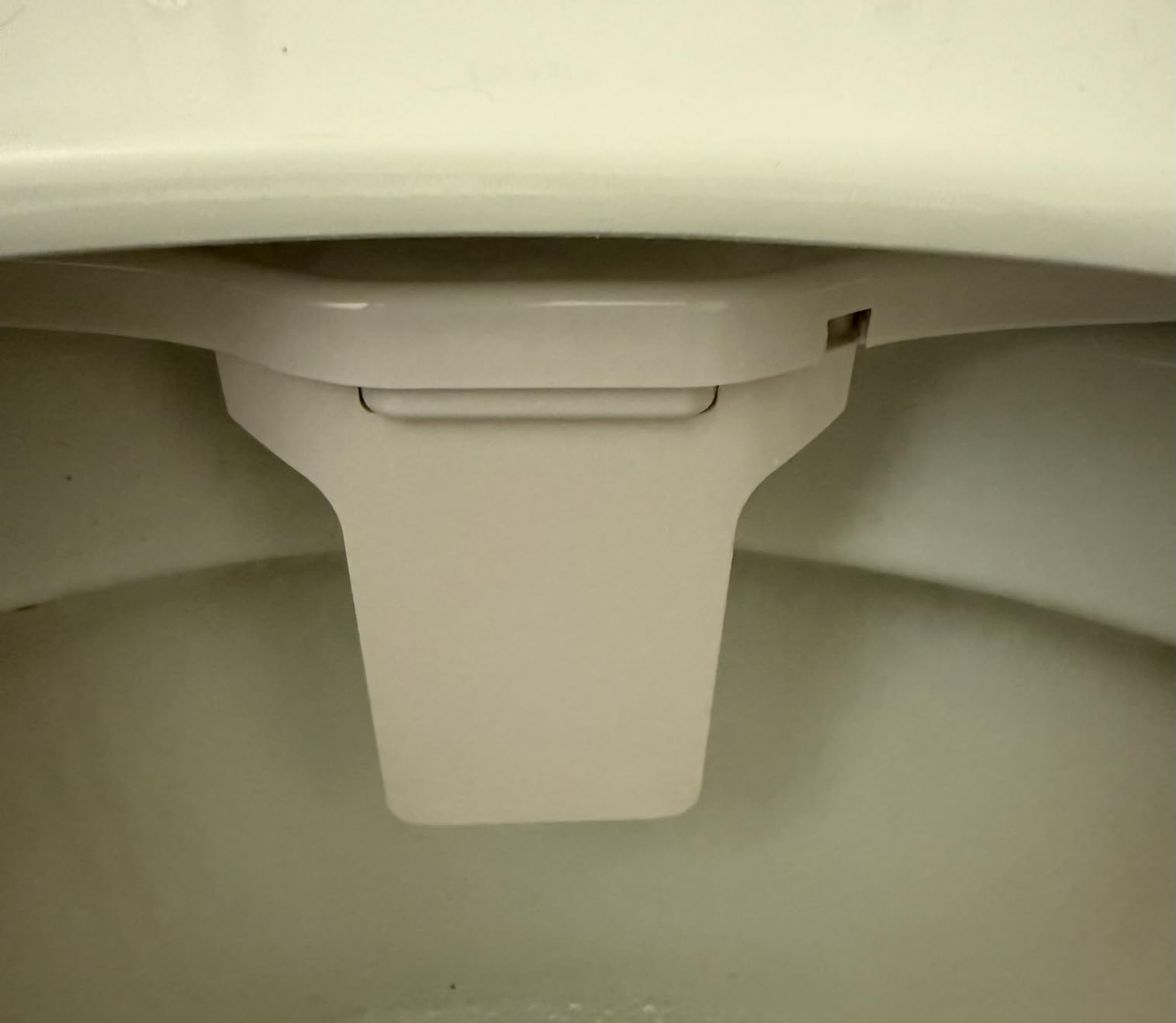 LUXE Bidet NEO 185 PLUS - Patented Bidet Attachment for Toilet, Chrome | Non-Electric, Dual Nozzle, Slide-In Install, 360° Self-Clean, EZ-Lift to Clean, Feminine & Rear Wash customer photo 1