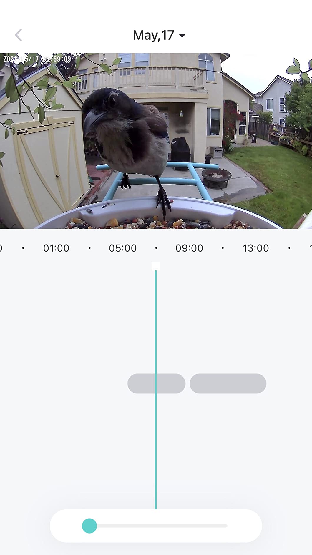 NETVUE by Birdfy Smart Bird Feeder with Camera, No Subscription, 1080P | AI Bird Species Identification, 2MP Night Vision, Live Stream, 2.4GHz Wi-Fi, IP66 for Outdoor, Gifts for Bird Lovers, Blue customer photo 2