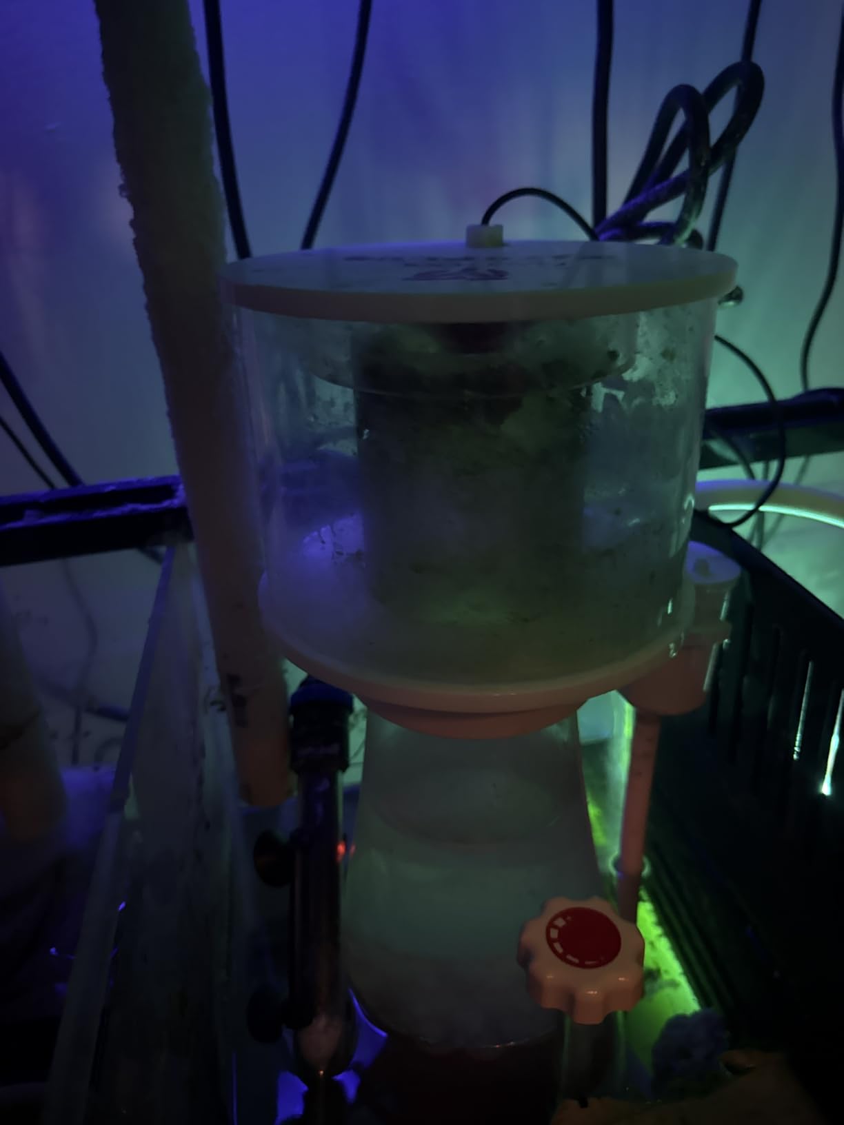 MagTool DC Protein Skimmer with Controllable Pinwheel Pump (N170 Plus) for 135-185 Gal reef tanks customer photo 1