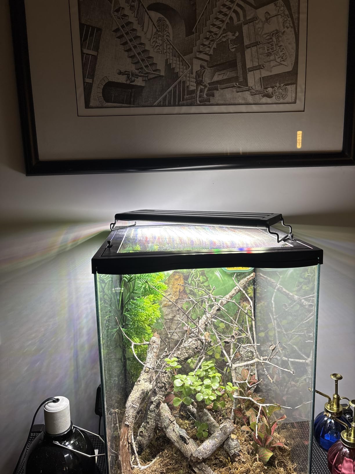 SEAOURA Led Aquarium Light for Plants - Full Spectrum Fish Tank Light 18-24'' | WRGBP Aquarium Plant Light with Timer for Freshwater Tank, 10 Brightness, Extend Brackets, Daylight, Moonlight, Auto On/Off customer photo 1