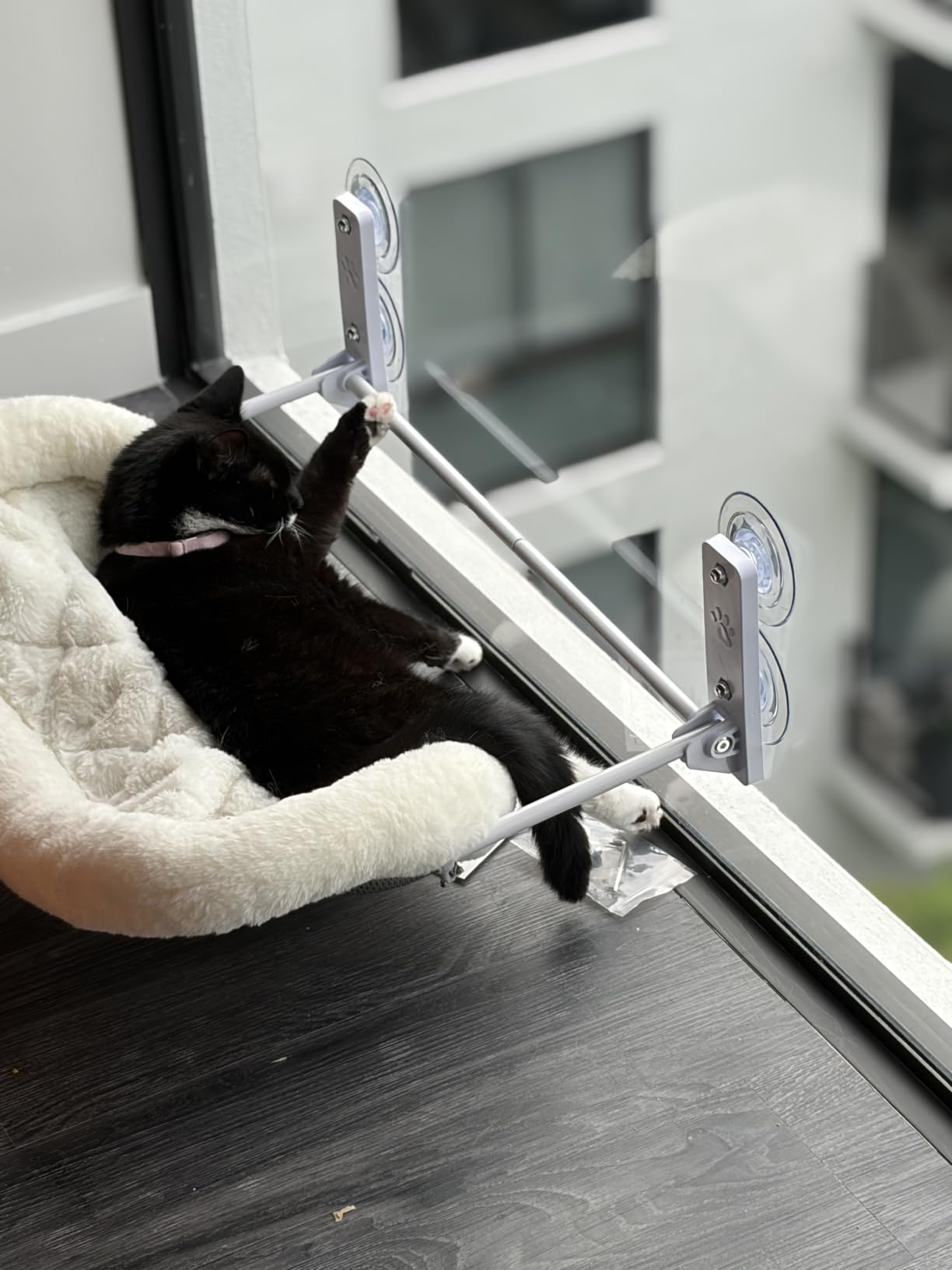 AMOSIJOY Cordless Cat Window Perch with Cushion Bed Metal Frame, L White | Soft Plush Reversible Cover, Machine Washable, Sturdy Cat Hammock Bed with 4 Strong Suction for Large Cats customer photo 1