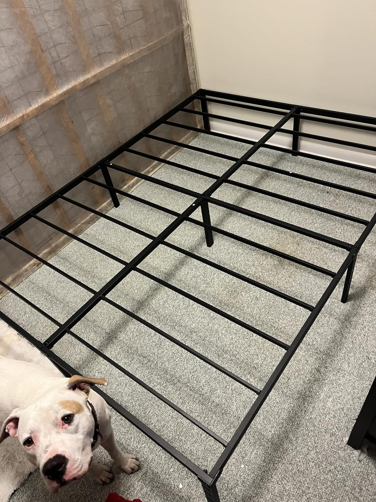 NEW JETO Metal Bed Frame, Queen Size Bed Frame with Storage Space, 14 Inch Heavy Duty Sturdy Mattress Foundation, Easy Assembly, No Box Spring Needed, Black customer photo 1