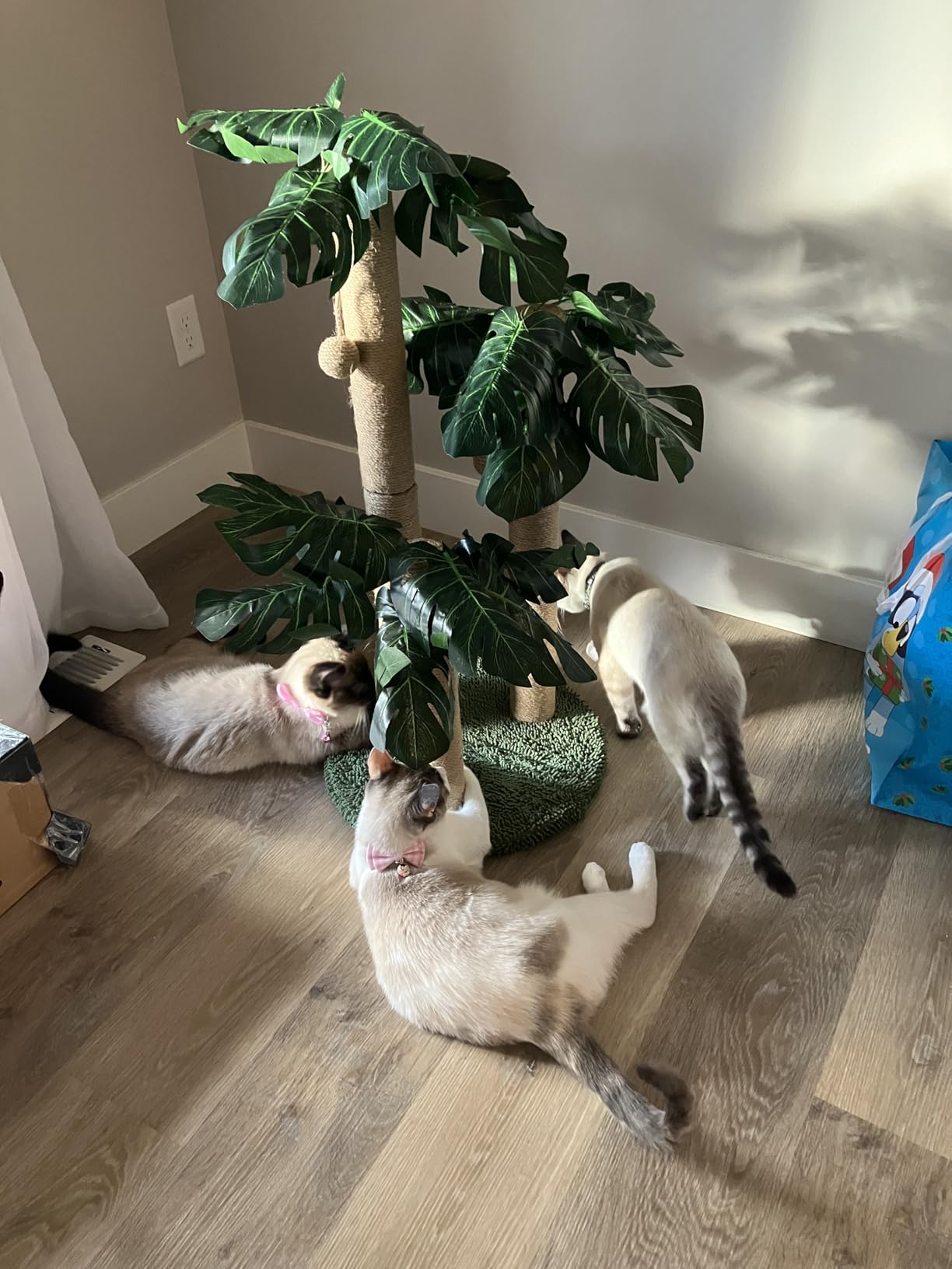 LEMONDA 31.5Inch Cat Scratching Post, Cat Scratcher Tree with 3 Scratching Poles & 2 Interactive Dangling Balls, For Indoor Kitten & Adult Cats customer photo 2