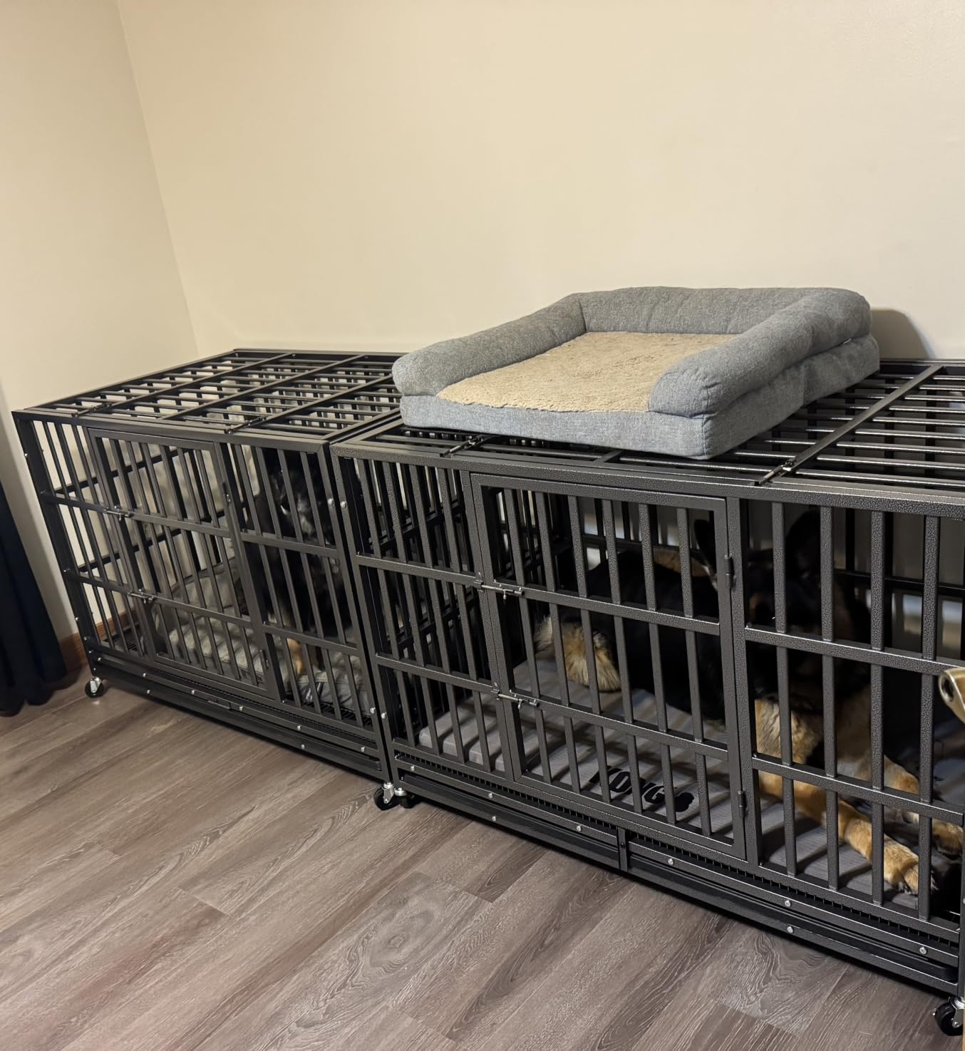 Hiwokk 48 Inch Heavy Duty Dog Crate, Indestructible Kennel for Large Dogs | 38-96