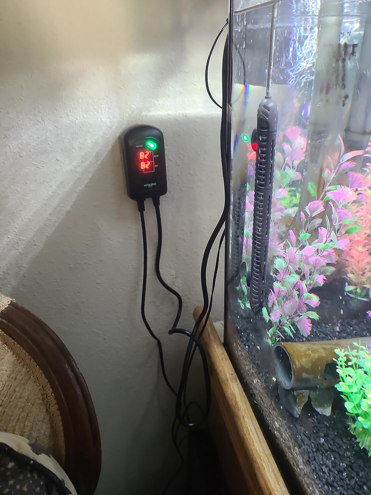 HiTauing Aquarium Heater, 300W Fish Tank Heater with LED Digital Display & 5 Safety Protection, Submersible Aquarium Heater with 2 Suction Cup and 8.2Ft Cord for 40-75 Gallon Fish Tank customer photo 1