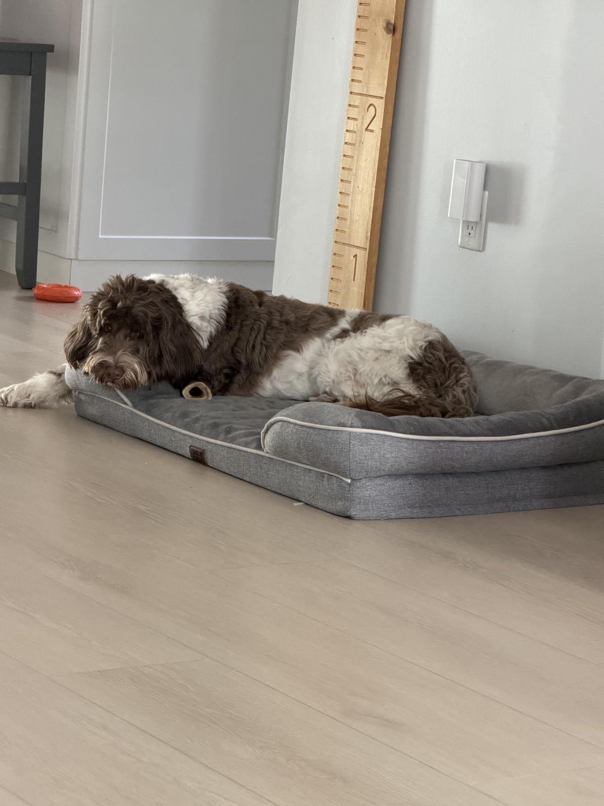 EHEYCIGA Orthopedic Dog Beds Large Sized Dog, Waterproof Memory Foam Pet Bed with Sides, Non-Slip Bottom Large Pet Bed with Washable Removable Cover, Grey | Non-Slip Bottom and Egg-Crate Memory Foam XL Dog Couch Bed with Washable Removable Cover, Grey customer photo 1