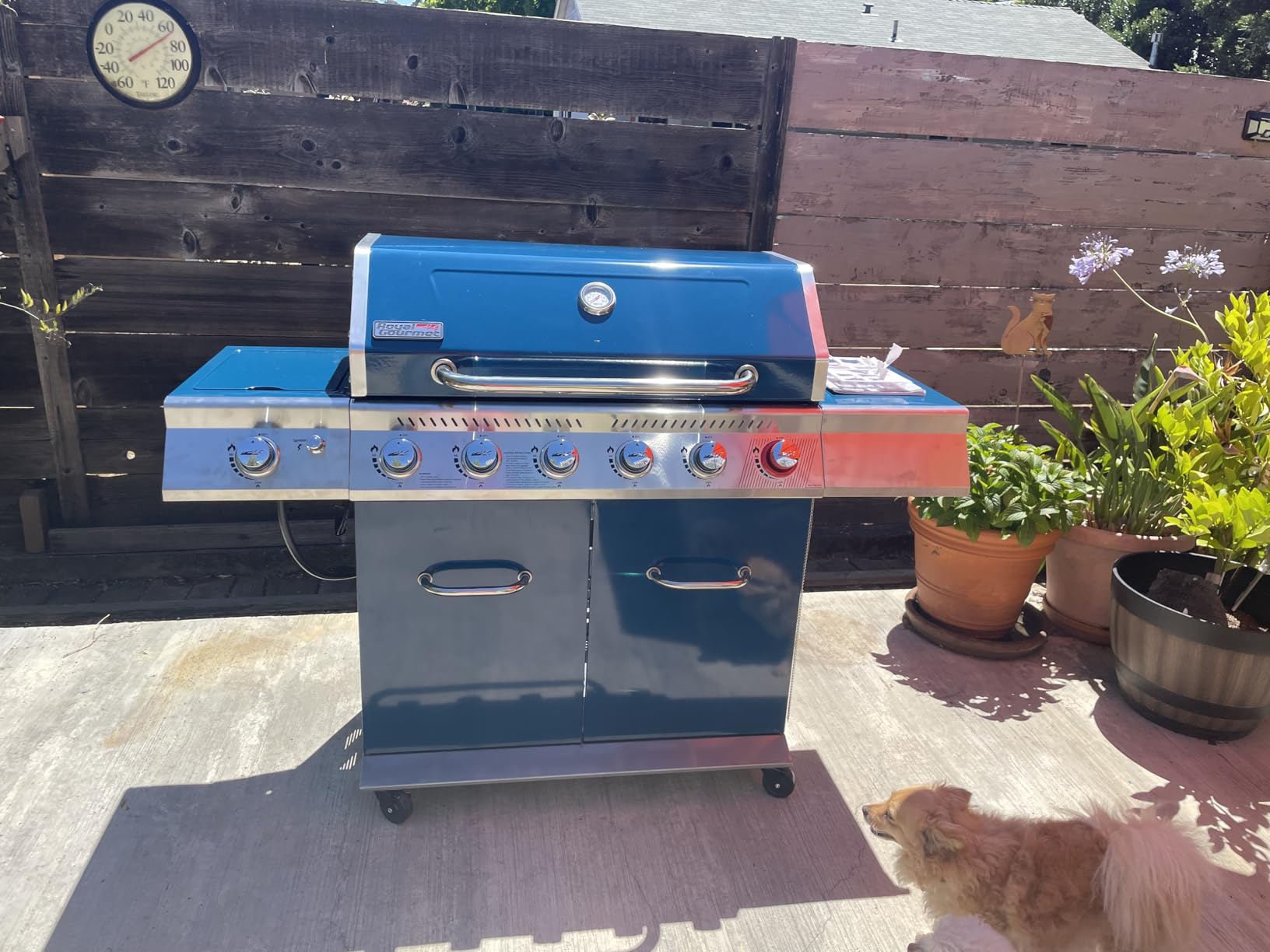 Royal Gourmet GA6402B 6-Burner Propane Gas Grill with Side Burner and Warming Rack, 74,000 BTUs customer photo 2