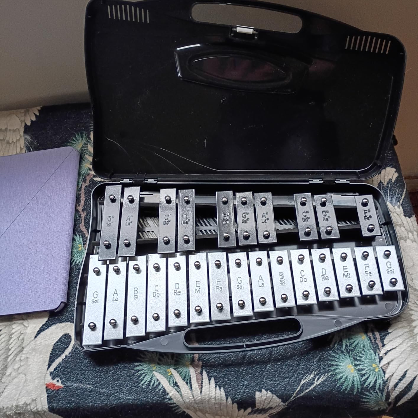 EASTROCK 25 Notes Xylophone Professional Glockenspiel with Box Stick Black | Aluminum Alloy Piano Keys ABS Hard Storage Box Percussion Instrument Kit Suitable for Adult Beginners Music Performance customer photo 1