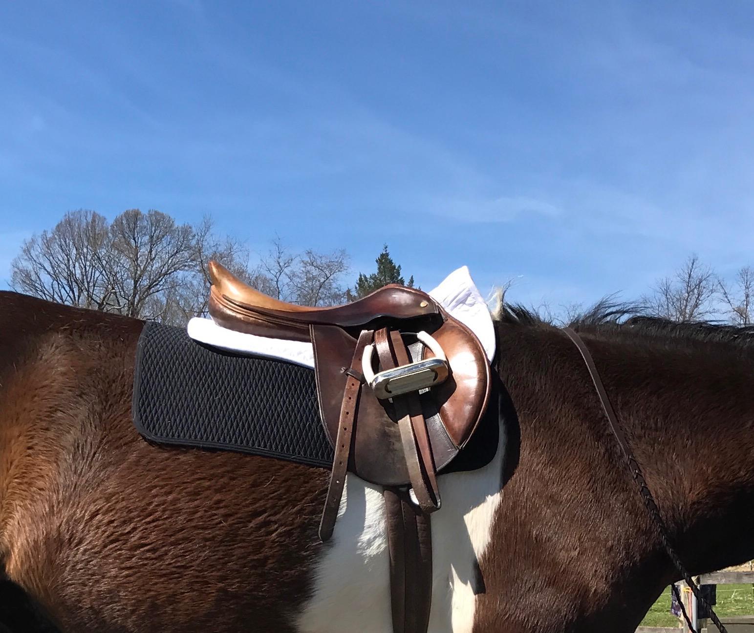 ECP Equine Comfort Products Adjustable Shock Absorbing Memory Foam Half Saddle Pad, Injury Prevention & Pressure Relief, Customizable Fit, Breathable for All Riding Styles customer photo 1