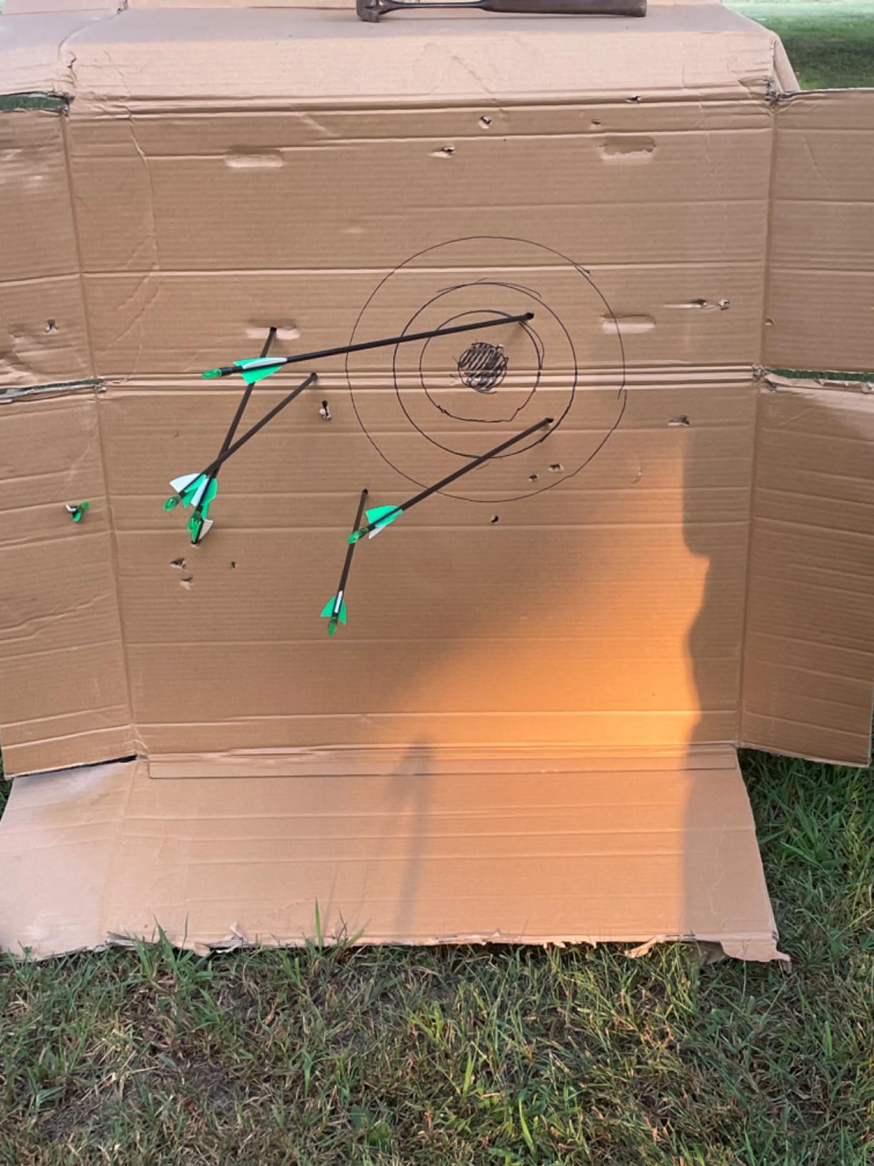 Compound Bow and Arrow Set for Youth & Teens, Beginner Archery Set with 15-18 LB Draw Weight customer photo 1