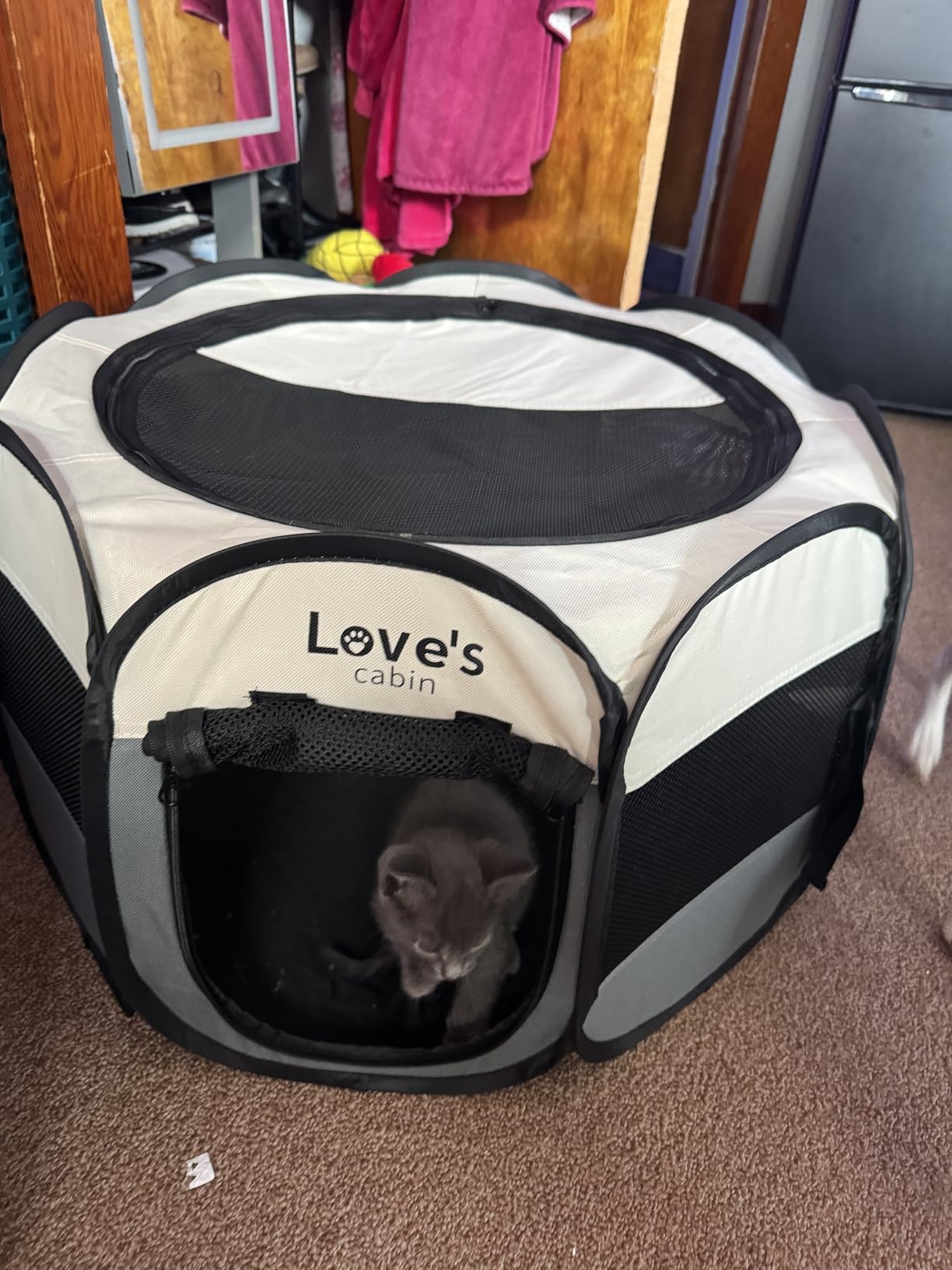 Love's cabin Pet Puppy Dog Playpen, Small Dog Tent Crates Cage Indoor/Outdoor, Portable Playpen for Cat, Foldable Pop Up Dog Kennel Playpen with Carrying Case, Removable Zipper Top, Grey customer photo 1
