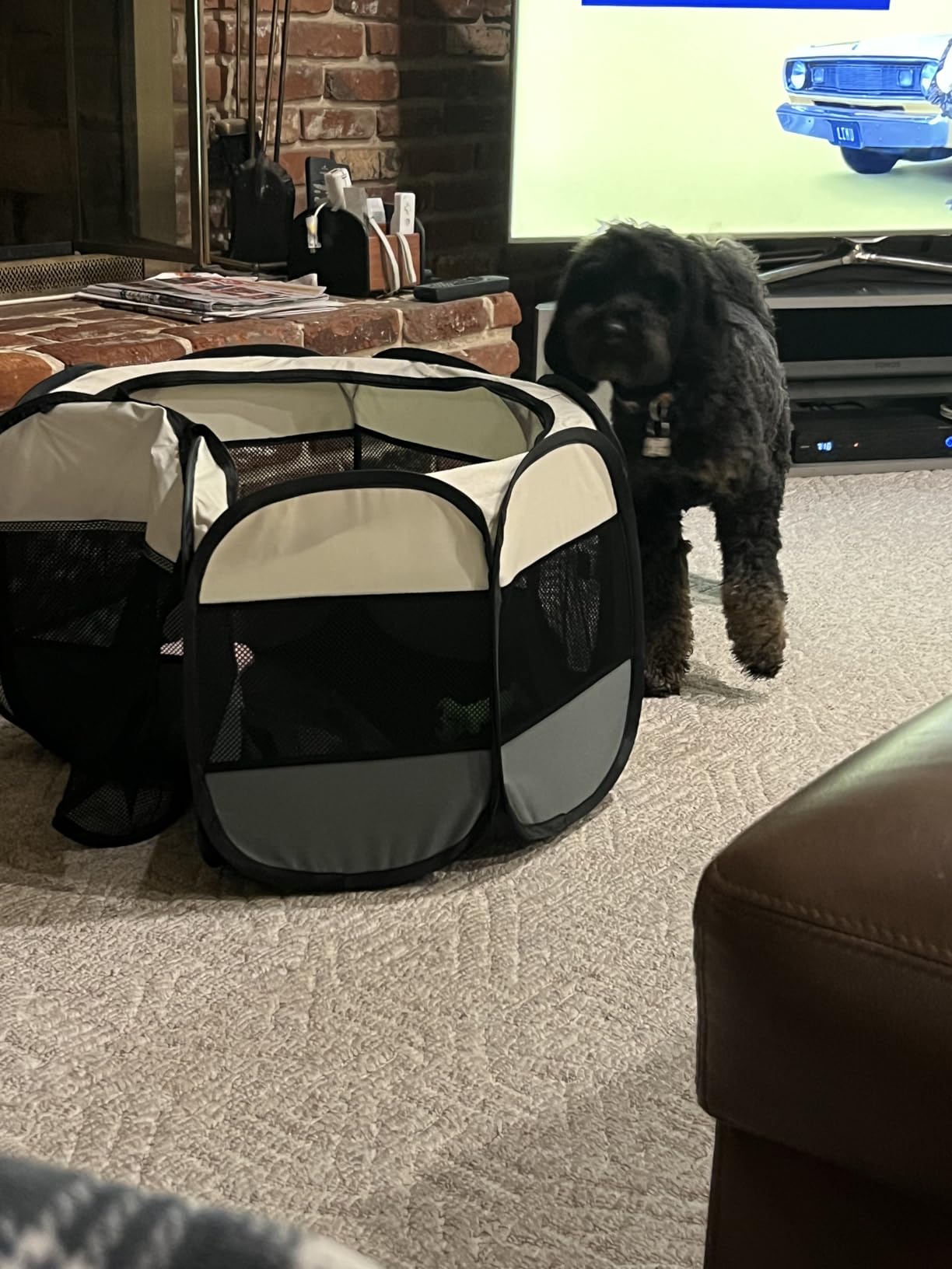 Love's cabin Pet Puppy Dog Playpen, Small Dog Tent Crates Cage Indoor/Outdoor, Portable Playpen for Cat, Foldable Pop Up Dog Kennel Playpen with Carrying Case, Removable Zipper Top, Grey customer photo 2