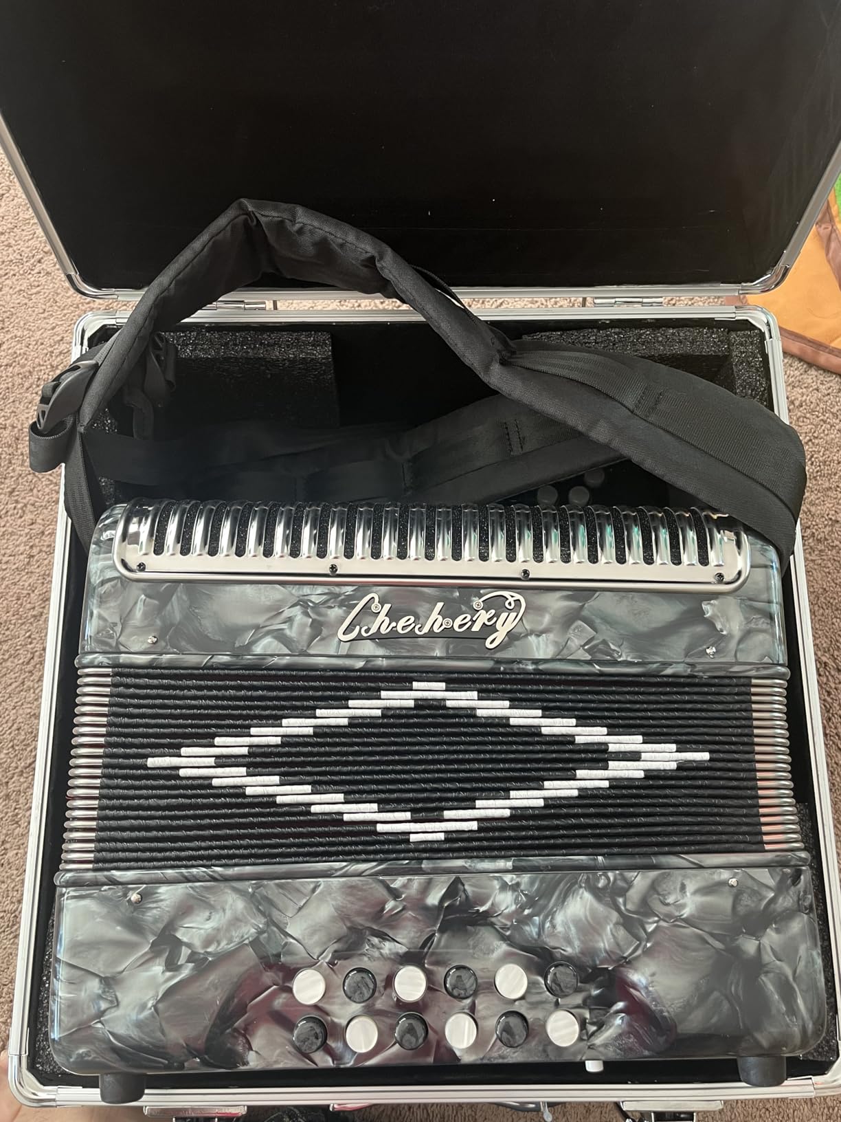 Accordion 31 Key 12 Bass Diatonic G/C/F w Case Strap Gloves Cloth (Black) customer photo 1