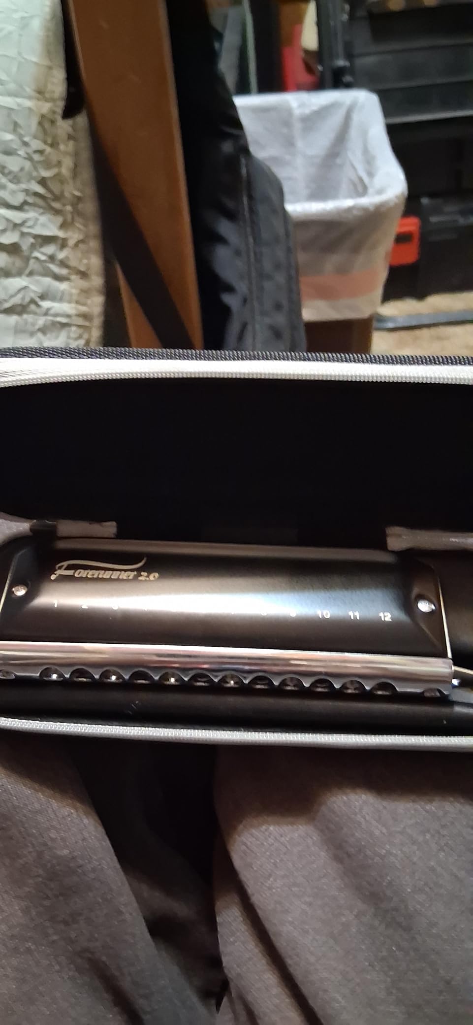 EAST TOP FORERUNNER 2.0 without valves Chromatic Harmonica 12-Hole 48 Tones C Key Chromatic Mouth Organ Harmonica for Adults, Beginners and Students customer photo 1