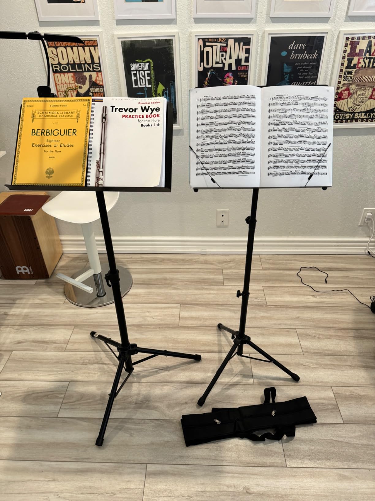 CAHAYA Sheet Music Stand Foldable with Tri-fold Panel Portable Metal Stand | Stable Adjustable-Height Floor Music Stands with Carrying Bag Matte Frosted Finish for Piano Guitar Violin Learning Practice customer photo 1