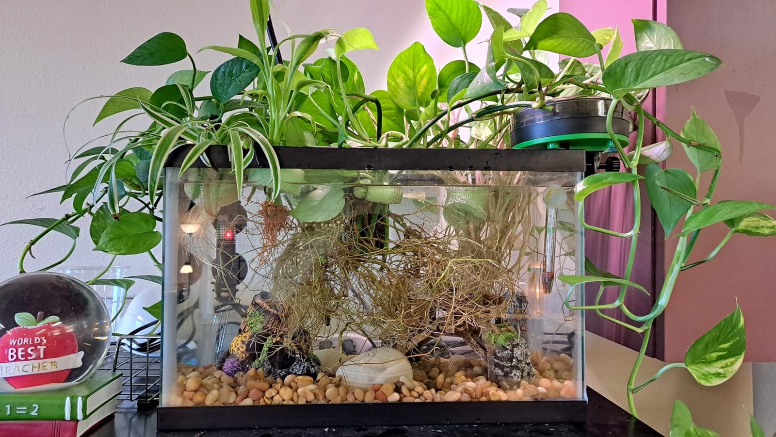 Automatic Fish Feeder for Aquarium Portion Control & Moisture-Proof | USB-C Rechargeable Auto Fish Food Dispenser with Timer, LCD Display, Vacation Precision Feeding for Small Tank Betta Turtle customer photo 1