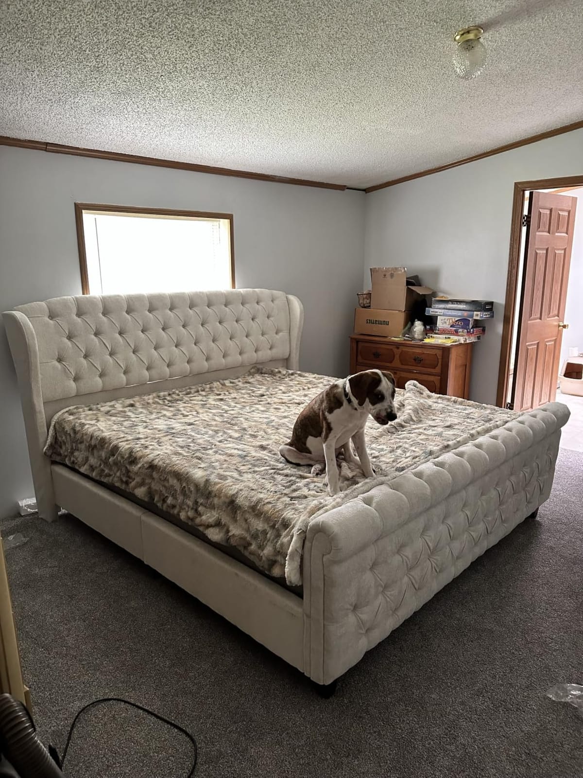 AMERLIFE Queen Size Upholstered Sleigh Bed Frame with Wingback Headboard | Platform Bed with Curved Headboard & Footboard, Handmade Deep Button Tufted, Wood Slats, No Box Spring Needed, Cream Chenille customer photo 2