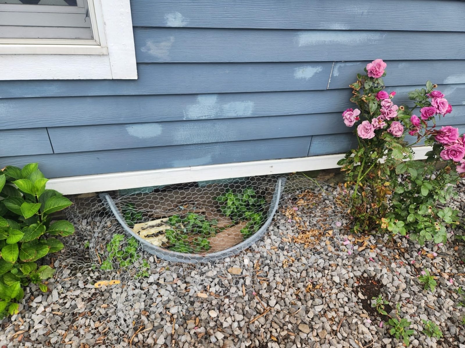 Just Cover It Basement Window Well Covers Outside Protection | Made in USA, Easy Installation Clear Polycarbonate Window Well Cover, UV Resistant with Rust-Free Aluminum Bracing customer photo 2