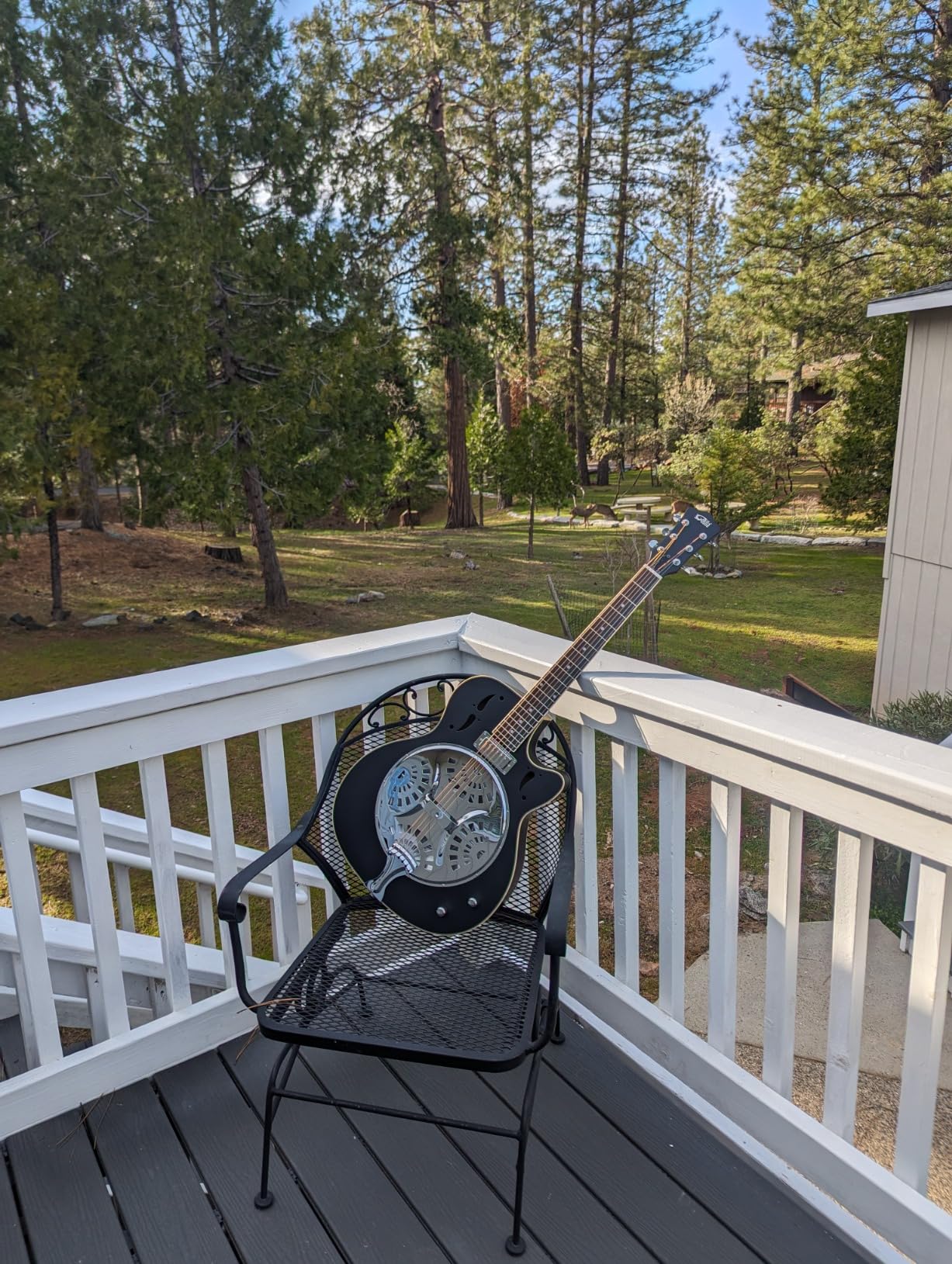 Resonator Electric Guitar Sapele Body, Okoume Neck, Purple Heart Fingerboard customer photo 1