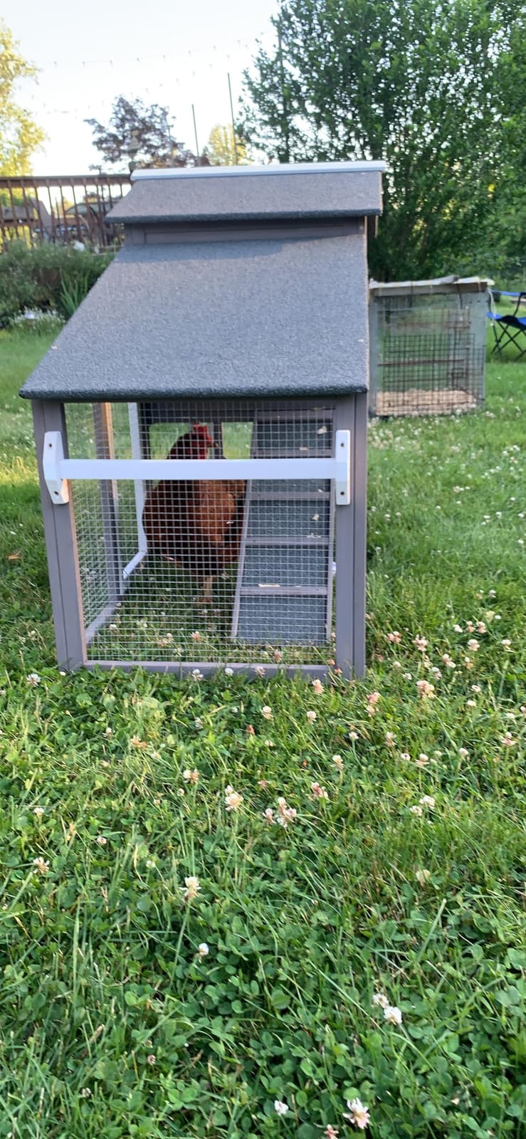 Ketive Large Wooden Chicken Coop with Run and Wheels, Grey | On Wheels, 2 Nesting Box, Pull-Out Tray, For 1-3 Hens, Chicken Coop with Run, Easy Clean Pull-Out Tray, Backyard Use customer photo 1