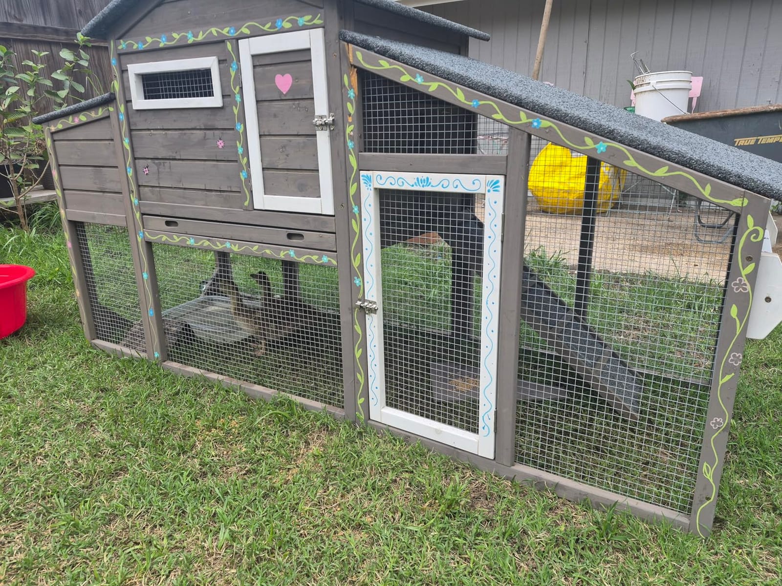 Ketive Large Wooden Chicken Coop with Run and Wheels, Grey | On Wheels, 2 Nesting Box, Pull-Out Tray, For 1-3 Hens, Chicken Coop with Run, Easy Clean Pull-Out Tray, Backyard Use customer photo 2